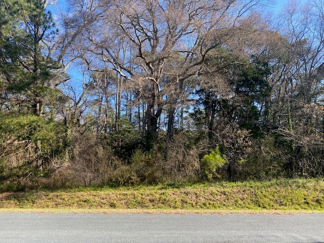 Lot 5 Hideaway Cove Road, Unit 5 Exmore, VA 23350 - Photo 2 of 7