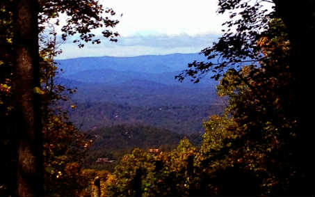 Main View