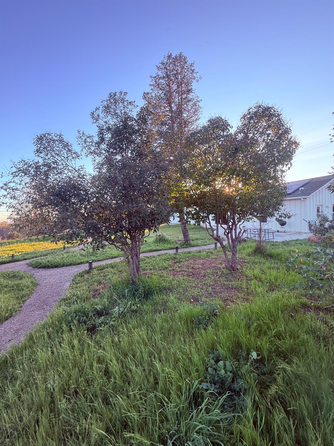 3696 Neal Road Paradise, CA 95969 - Photo 27 of 33