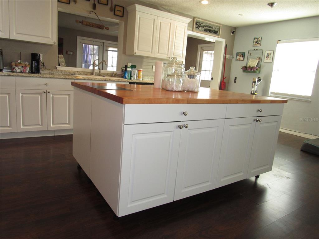 330 Moccasin Hollow Road Lithia, FL 33547 - Photo 12 of 50