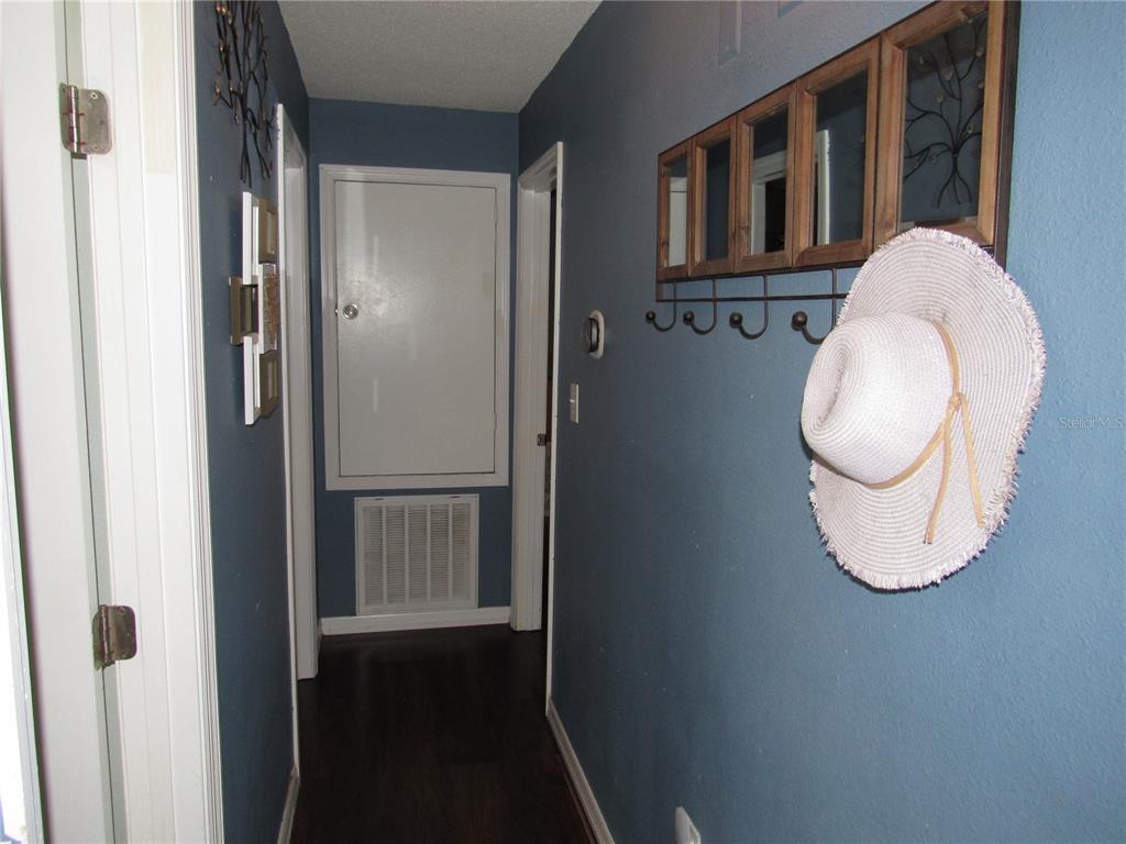 330 Moccasin Hollow Road Lithia, FL 33547 - Photo 23 of 50