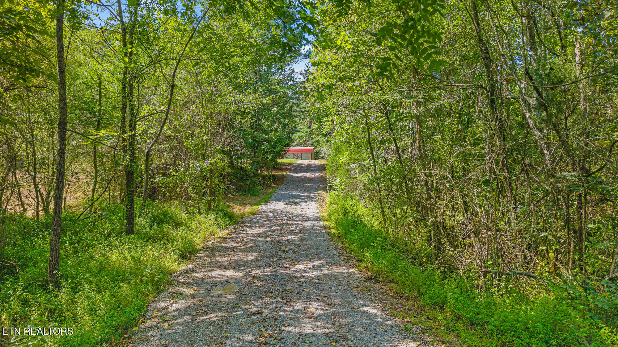 1798 Shiloh Road Decatur, TN 37322 - Photo 24 of 27 1798 Shiloh Rd-28