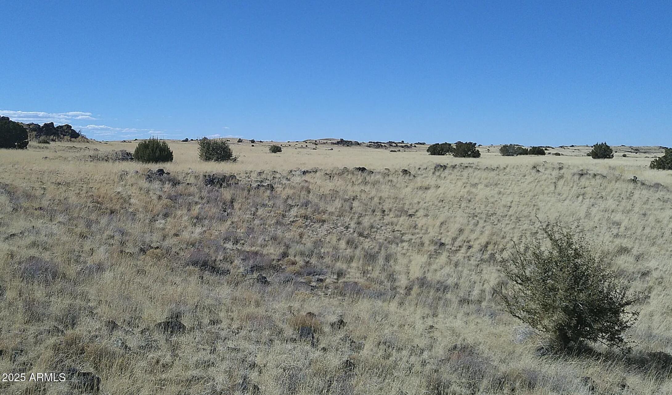 98 County Road Concho, AZ 85924 - Photo 8 of 9 a view of mountain with trees in the background