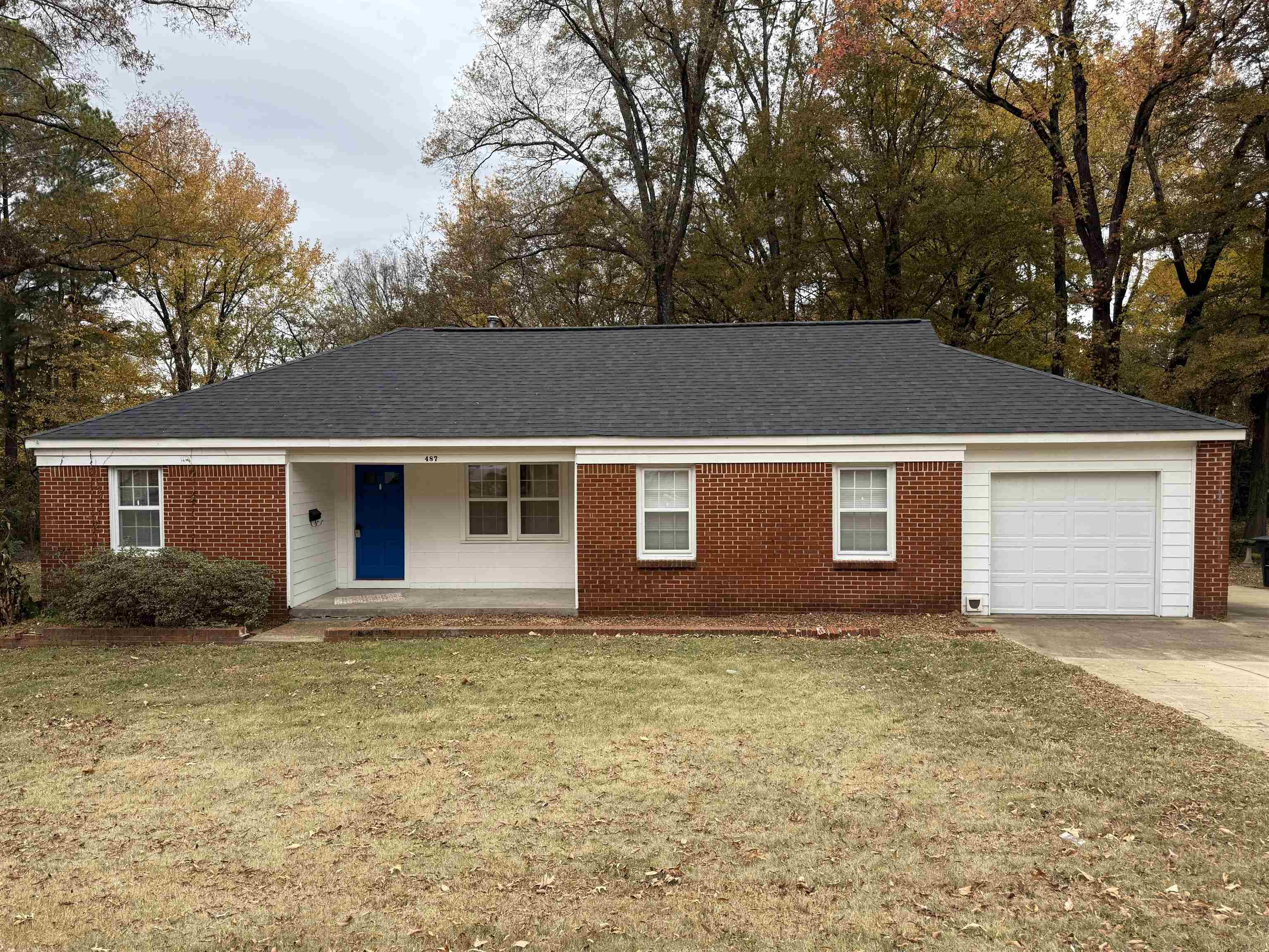 a house that has a tree in front of it