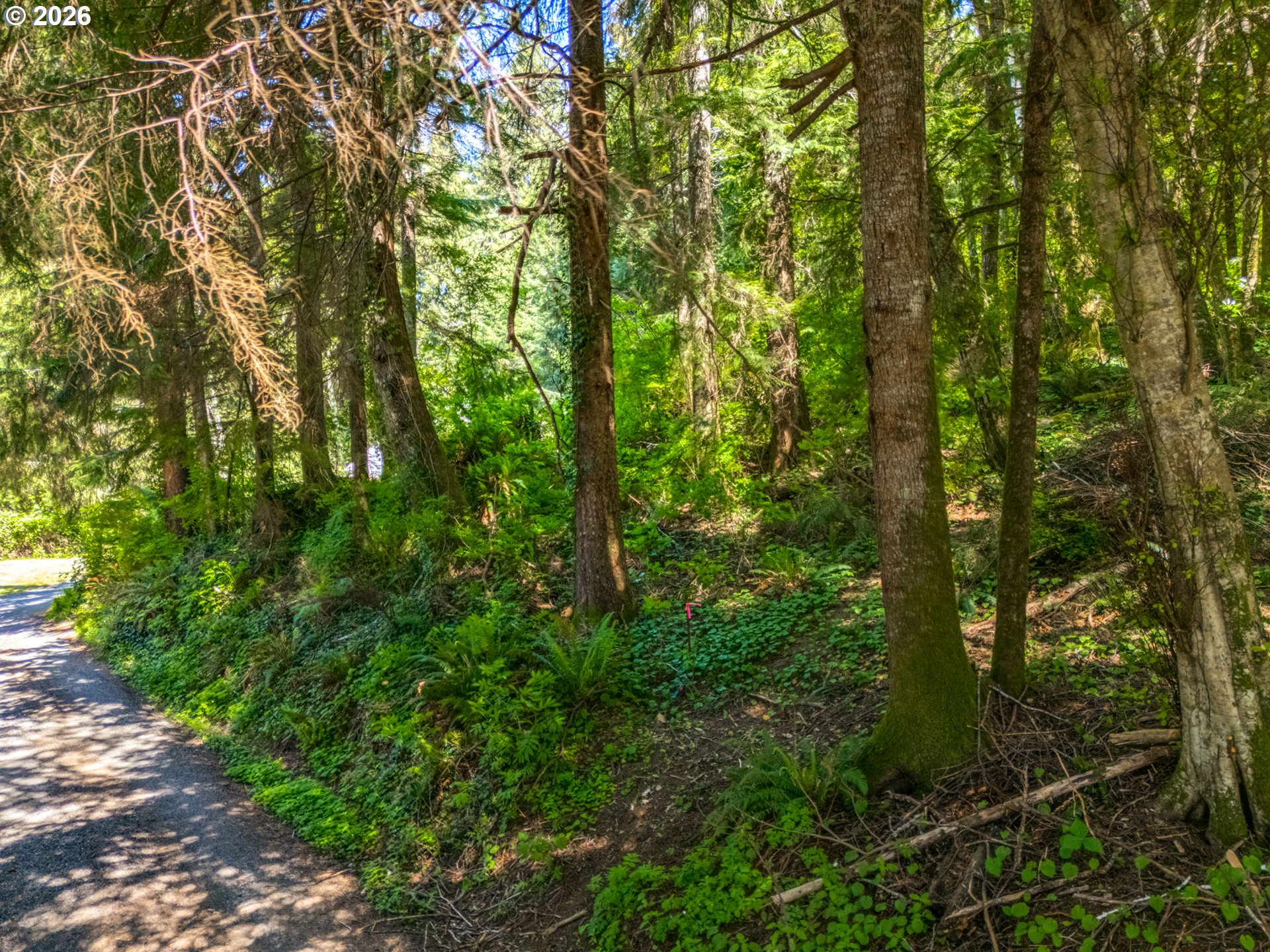 9 Block Nehalem, OR 97131 - Photo 11 of 36