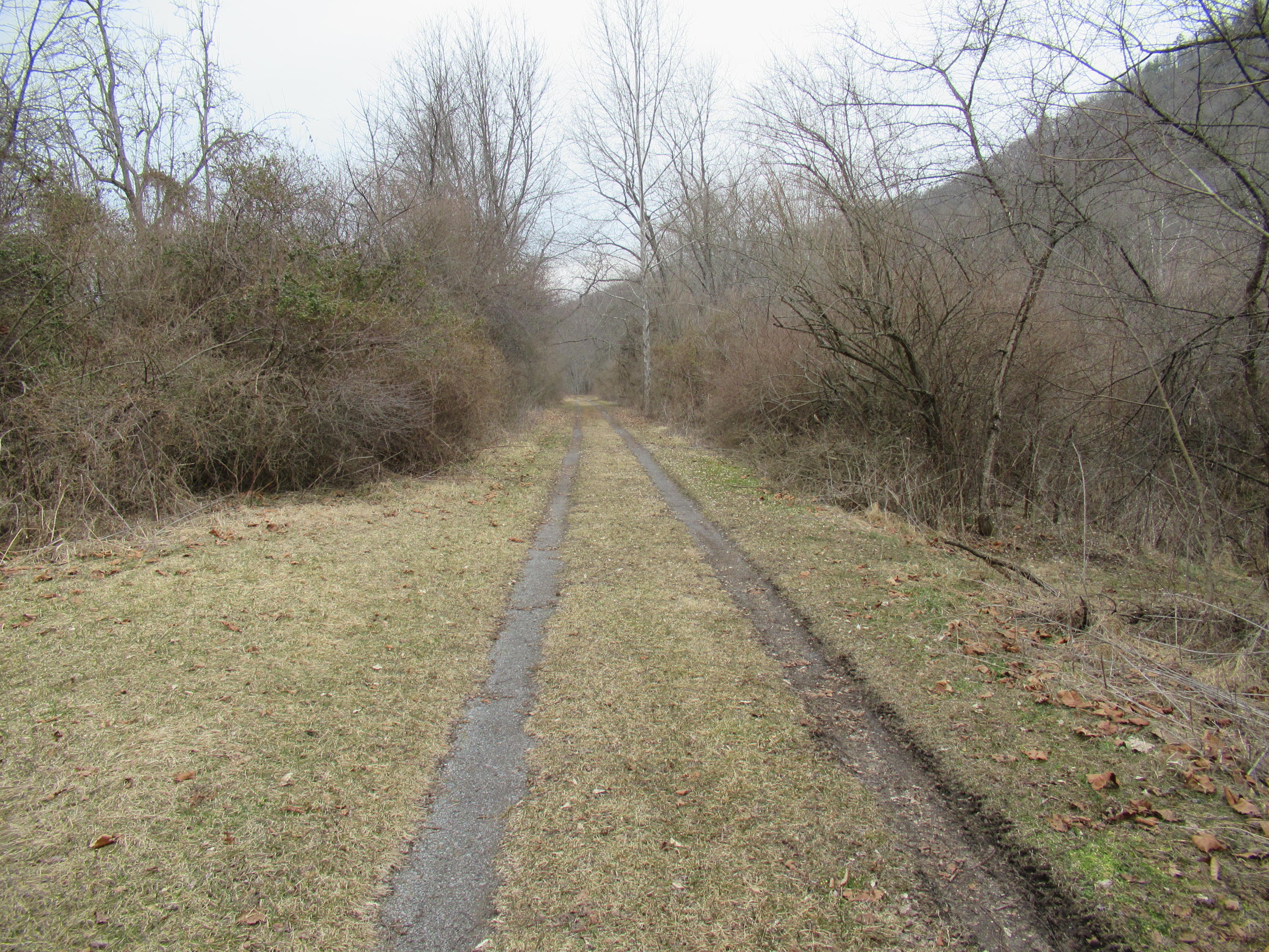 Lot 1 Spice Run Road Hillsboro, WV 24946 - Photo 6 of 13 Gallery Image 6