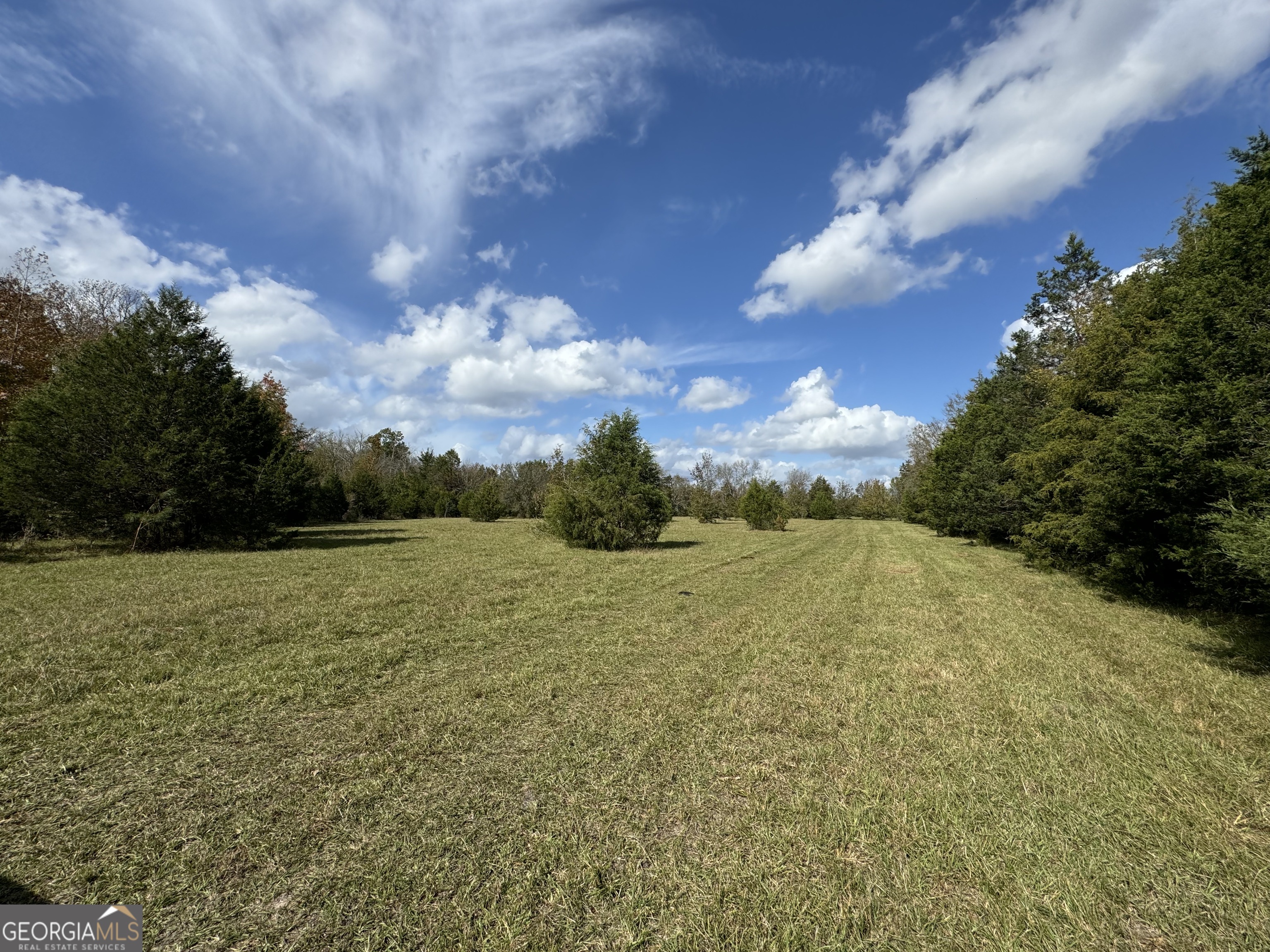 3 Seneca Street Calhoun Falls, SC 29628 - Photo 12 of 22