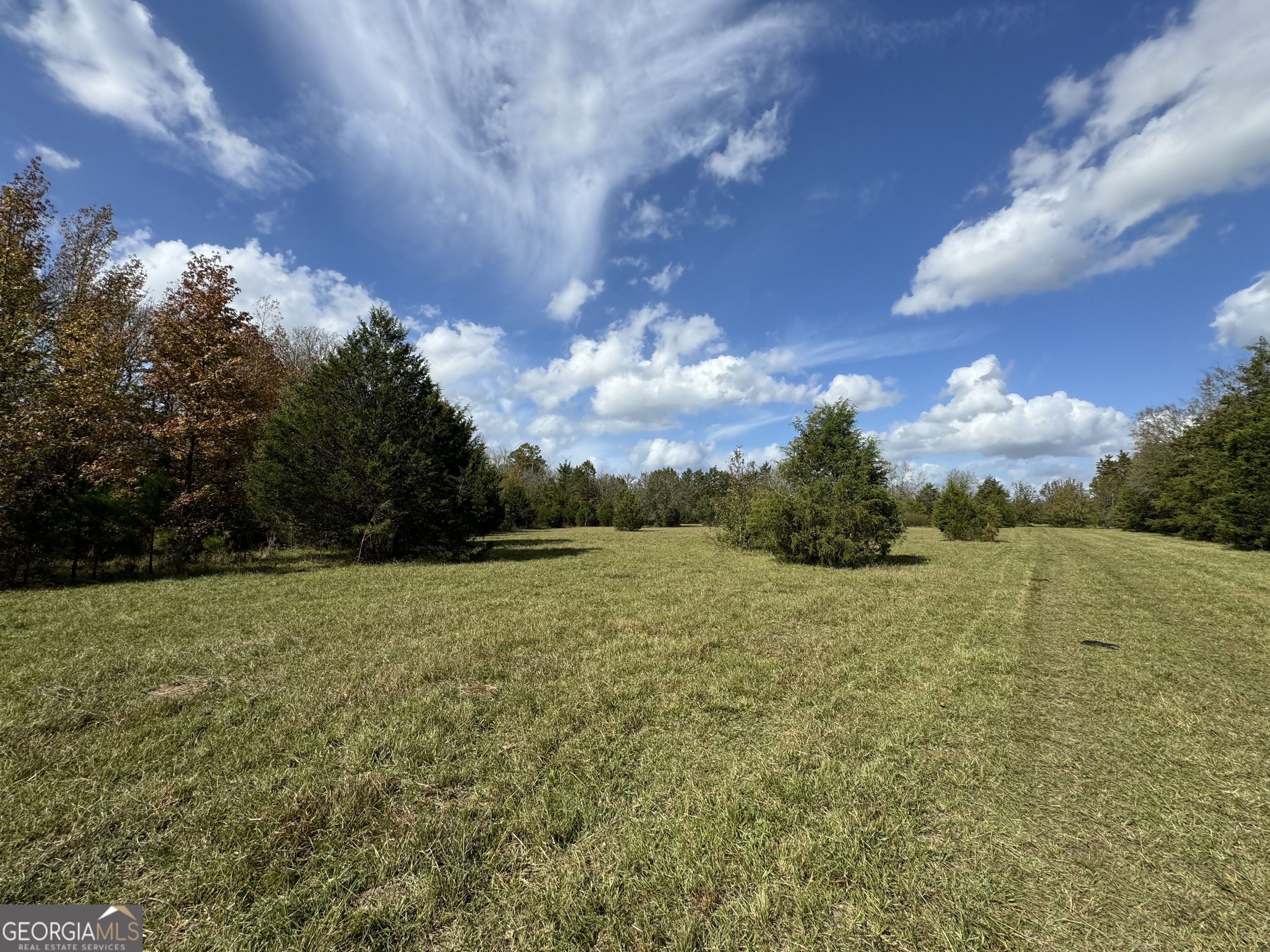 3 Seneca Street Calhoun Falls, SC 29628 - Photo 13 of 22 a view of a field with an trees
