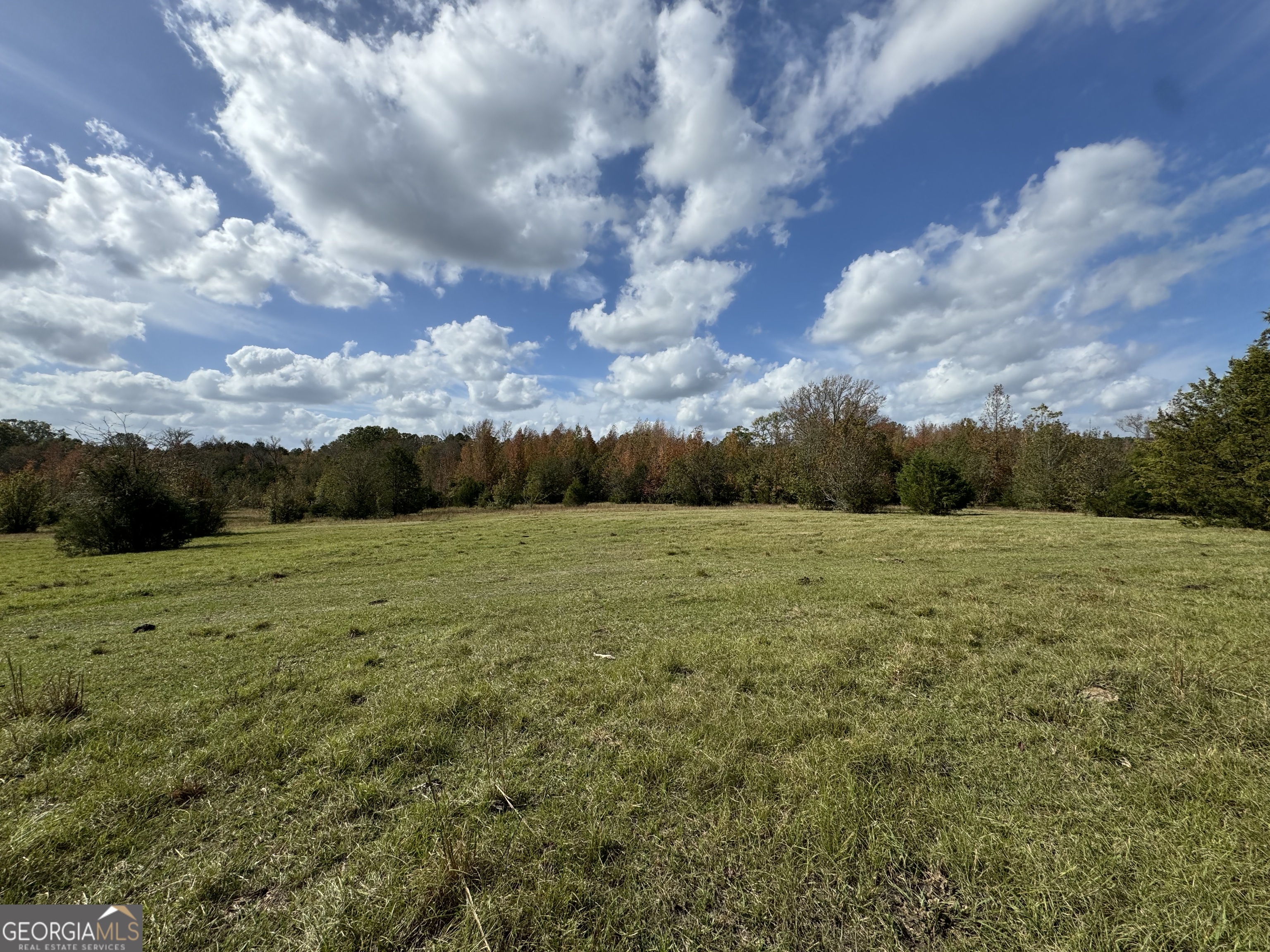 3 Seneca Street Calhoun Falls, SC 29628 - Photo 15 of 22 a view of a field with an trees