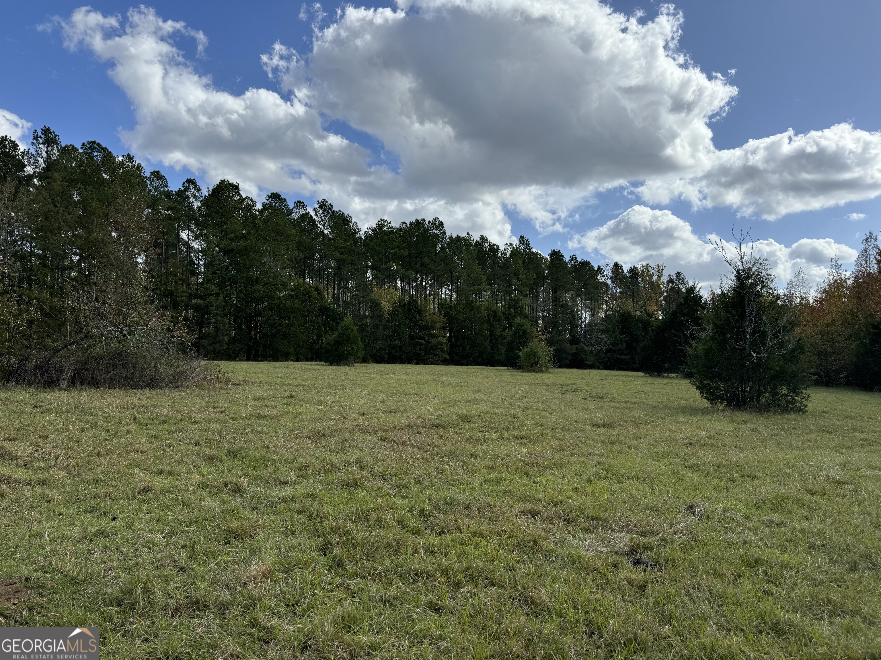 3 Seneca Street Calhoun Falls, SC 29628 - Photo 18 of 22 a view of outdoor space and yard