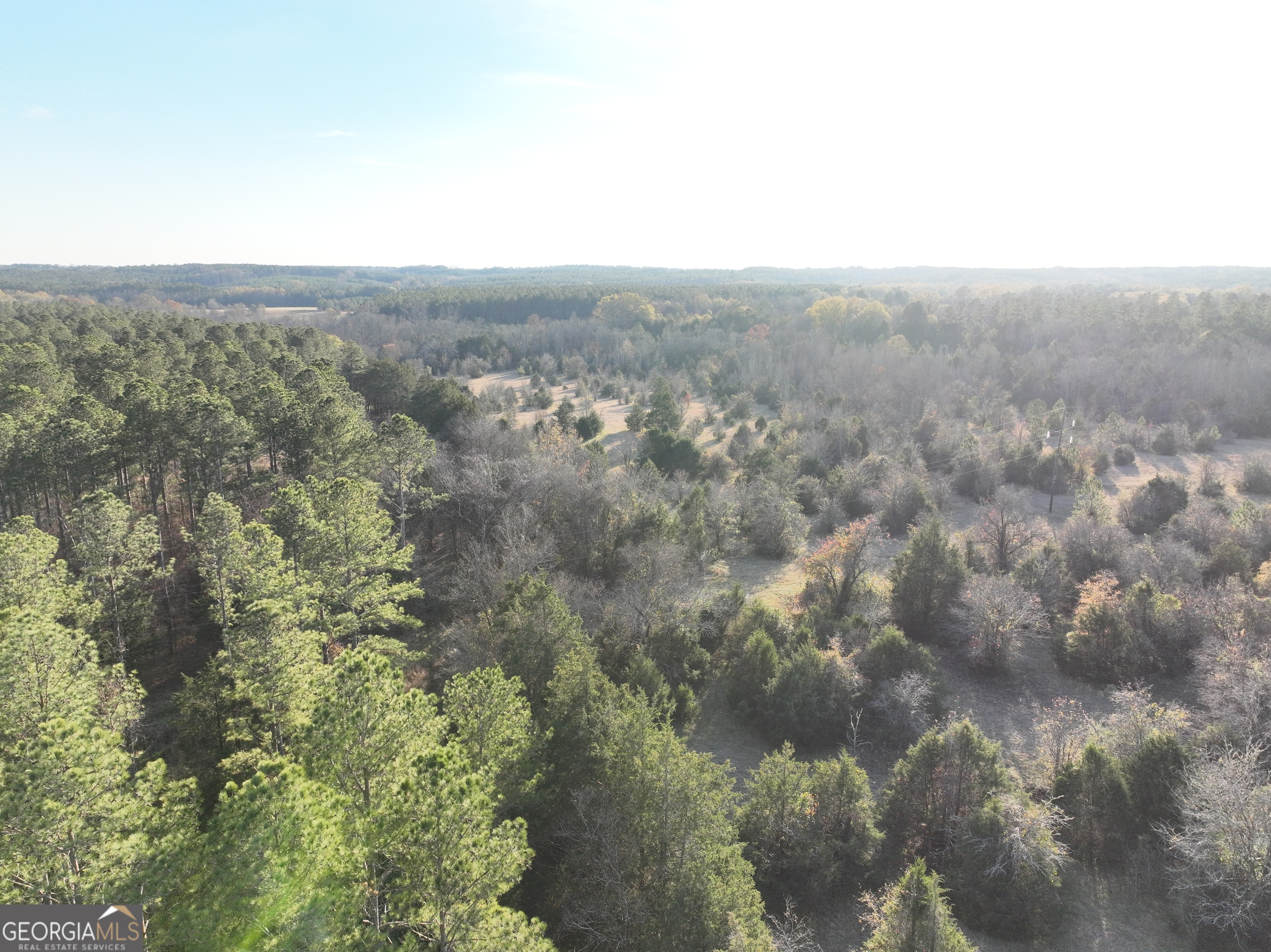 3 Seneca Street Calhoun Falls, SC 29628 - Photo 3 of 22 an aerial view of house with yard and mountain view in back