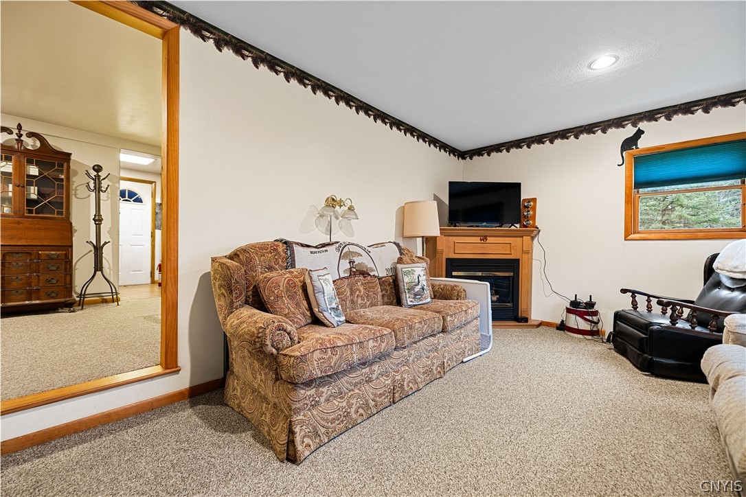 248 French Road Hoffmeister, NY 13353 - Photo 2 of 22 Living Room