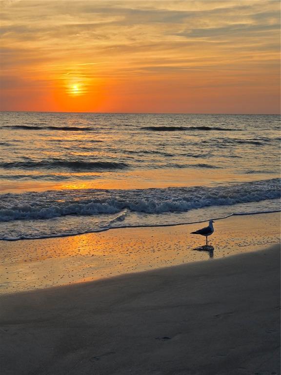 13150 3rd Street East Madeira Beach, FL 33708 - Photo 24 of 25