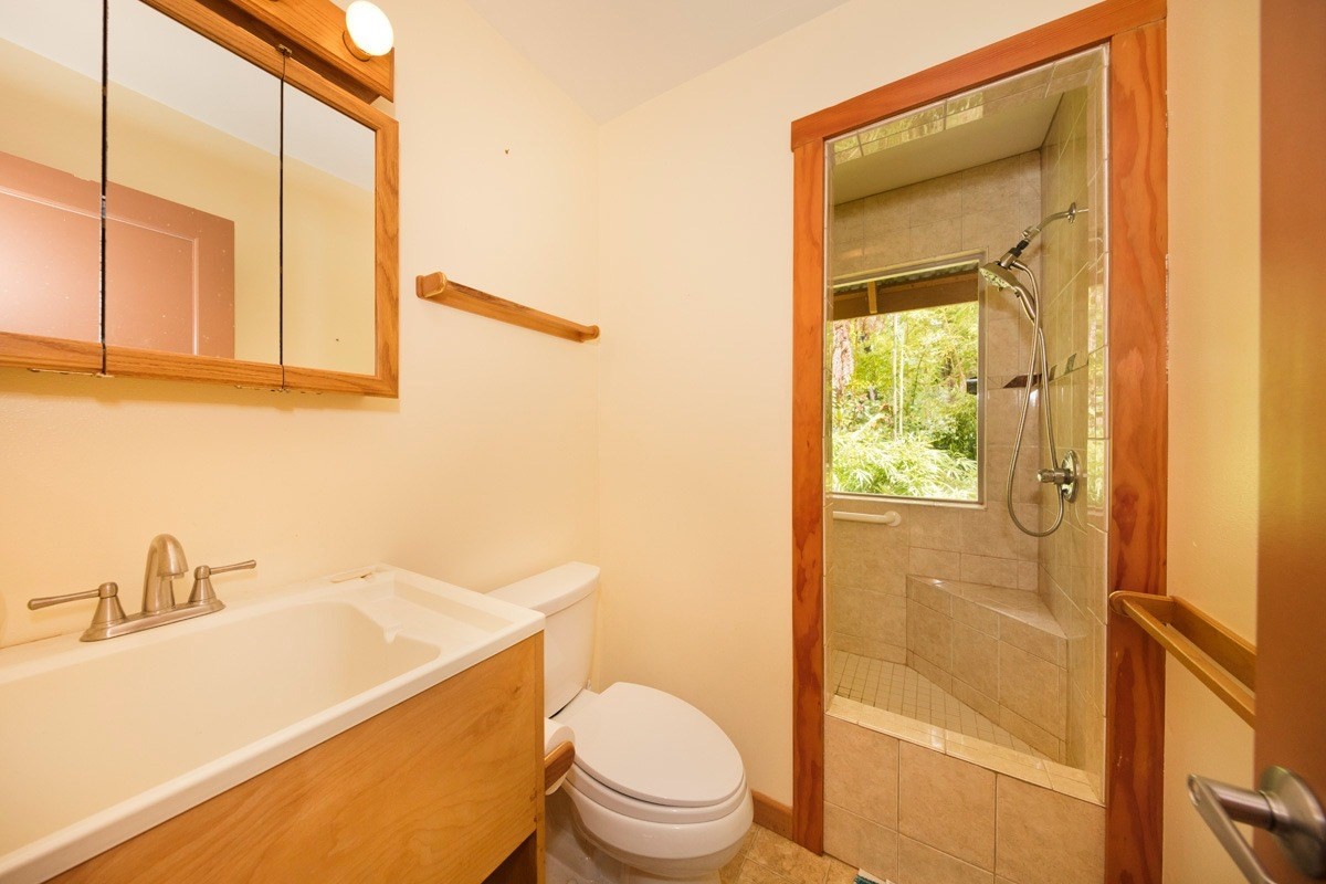19-3882 Old Volcano Road Volcano, HI 96785 - Photo 15 of 30 a bathroom with a sink a toilet and shower