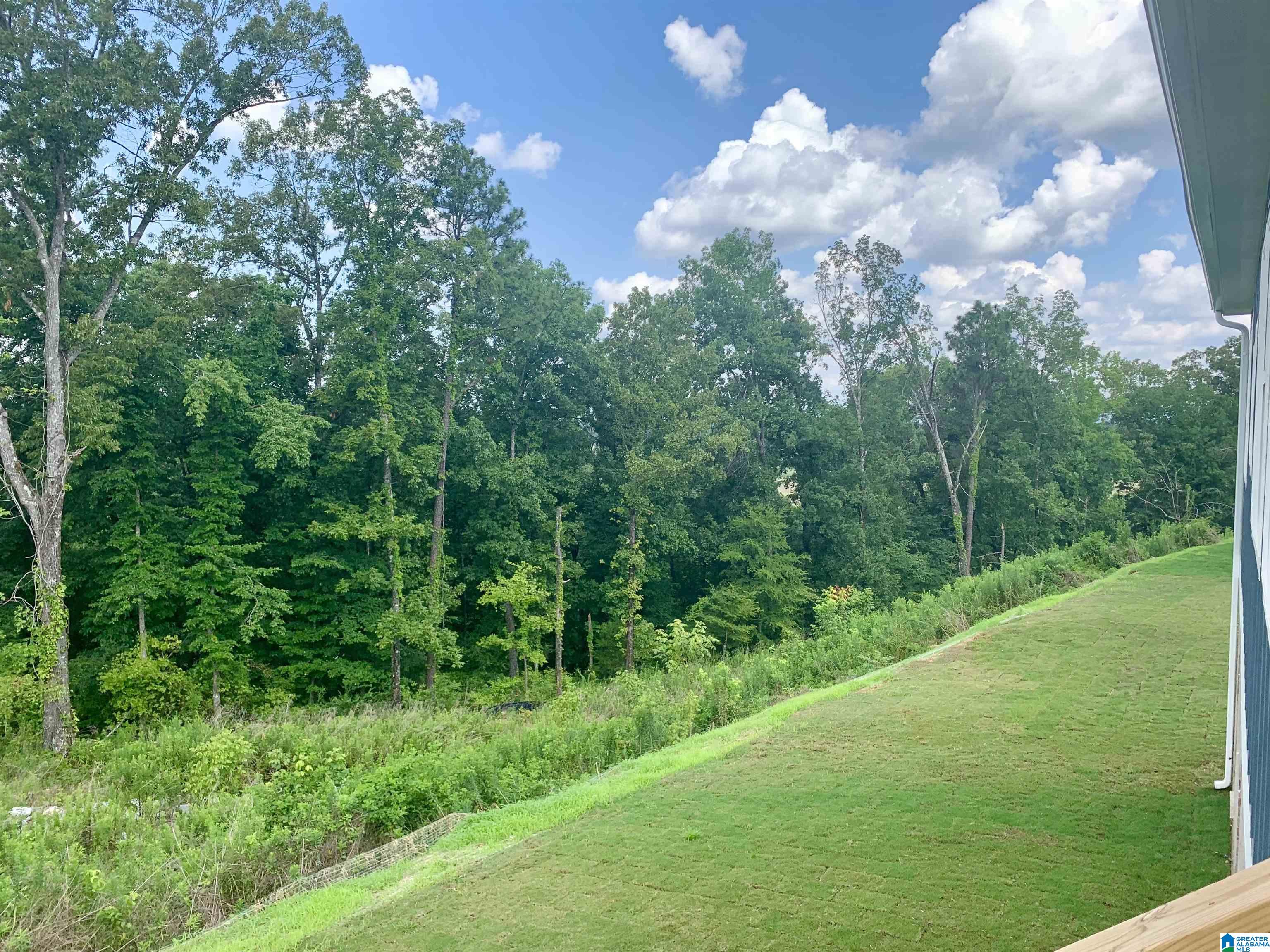 1121 Camellia Ridge Drive Pelham, AL 35124 - Photo 33 of 46