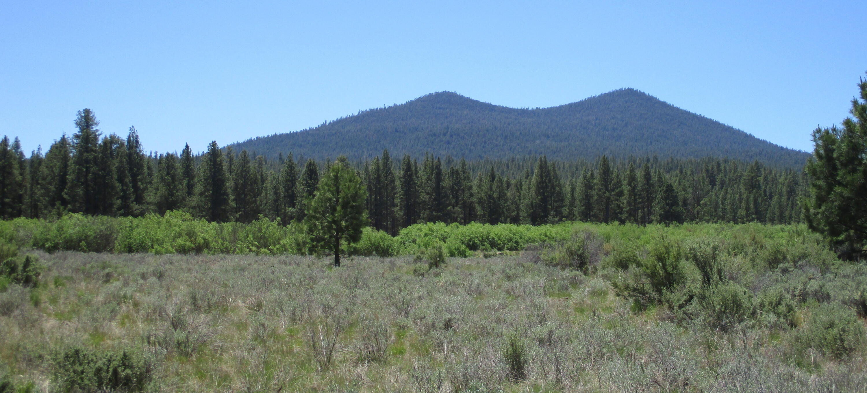 14914 Sprague River Road Chiloquin, OR 97624 - Photo 19 of 42 IMG_1082