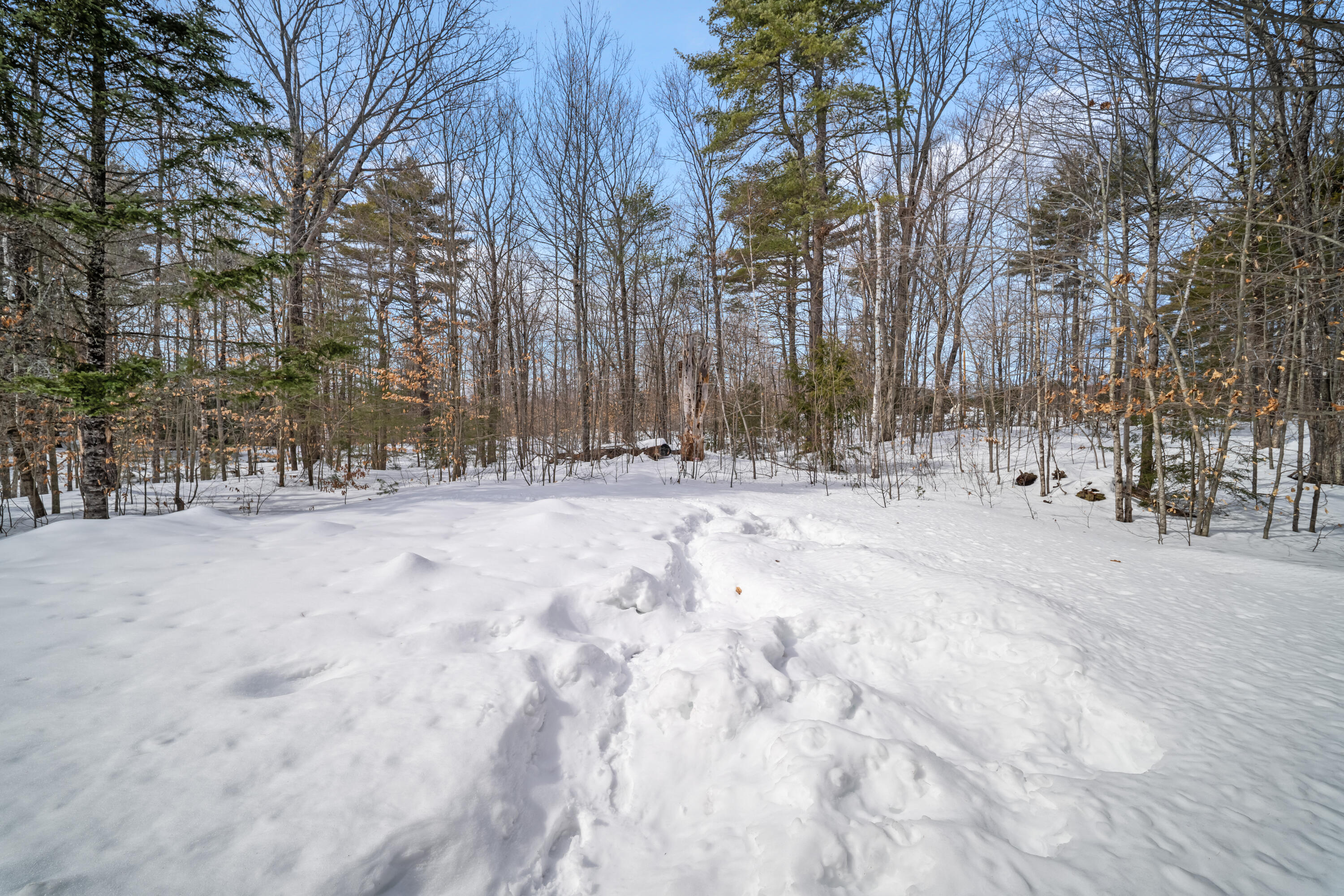 450 Sanborn Road Acton, ME 04001 - Photo 32 of 41 DSC04823