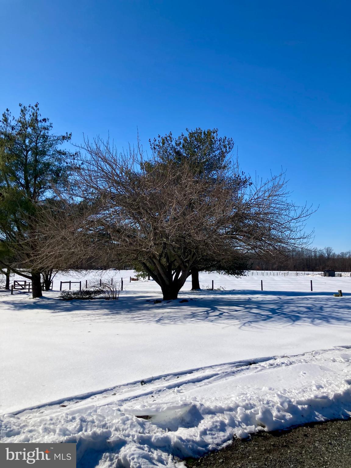 5663 Judith Road Clayton, DE 19938 - Photo 21 of 21