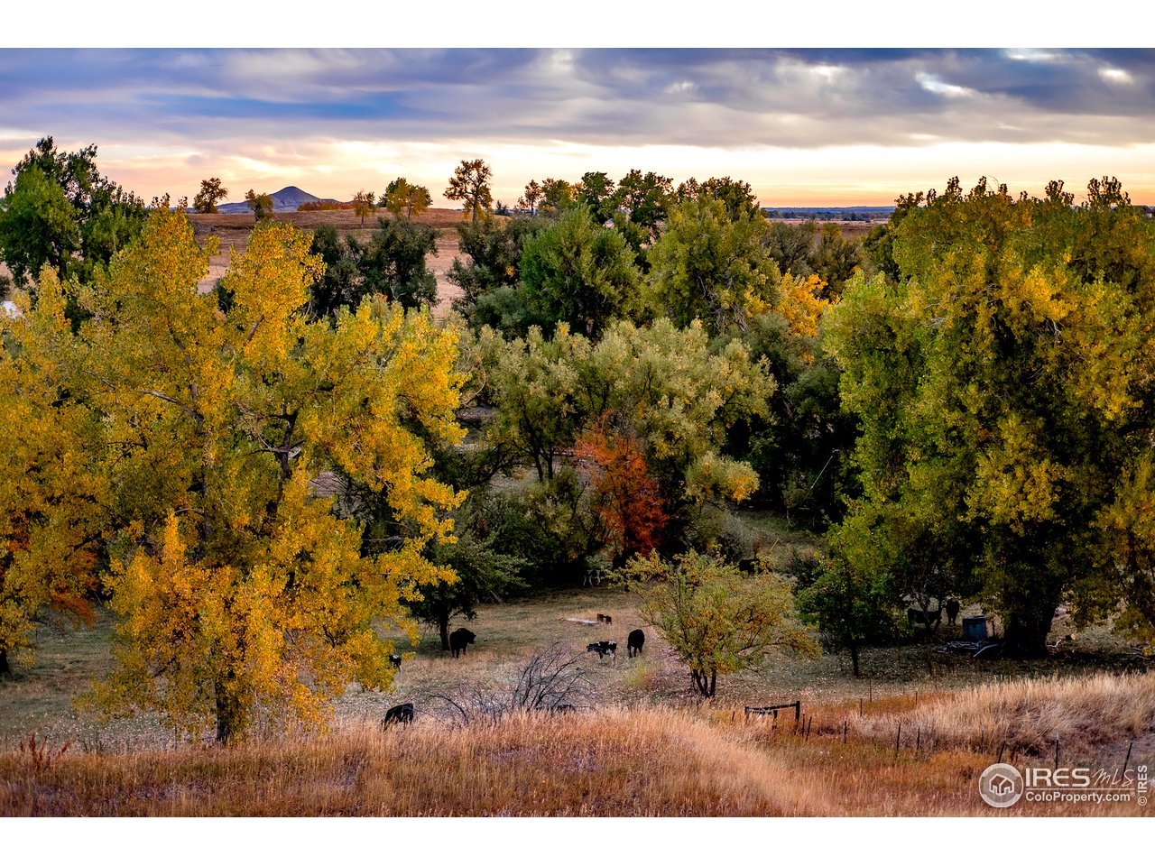 3915 Pleasant Ridge Road Boulder, CO 80301 - Photo 5 of 19 Northern Valley