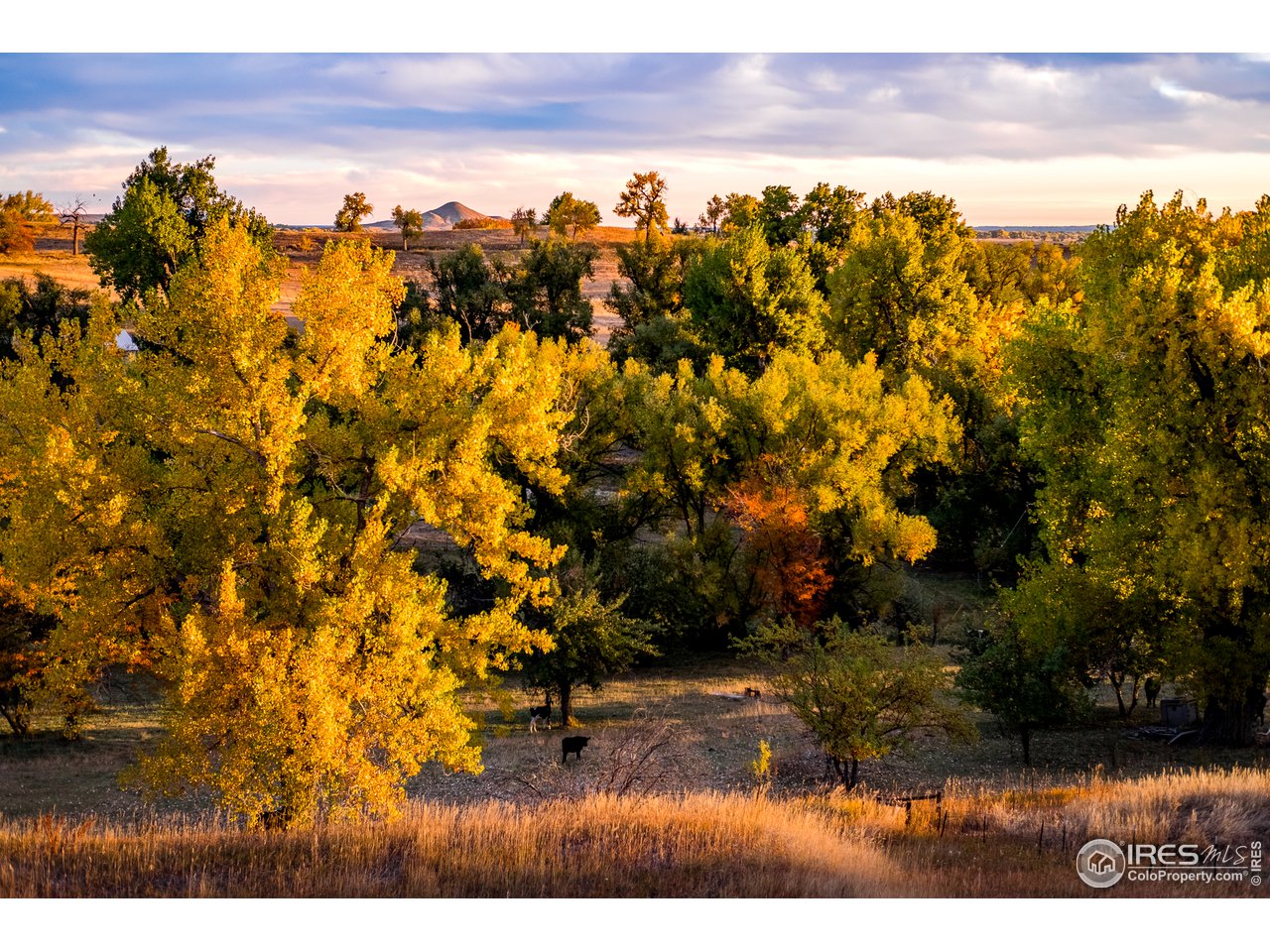 3915 Pleasant Ridge Road Boulder, CO 80301 - Photo 6 of 19