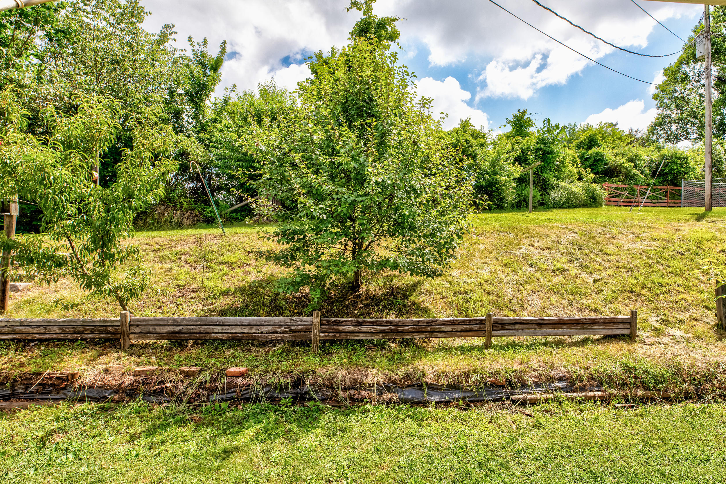 131 Rising Lane La Follette, TN 37766 - Photo 7 of 25 Rear yard
