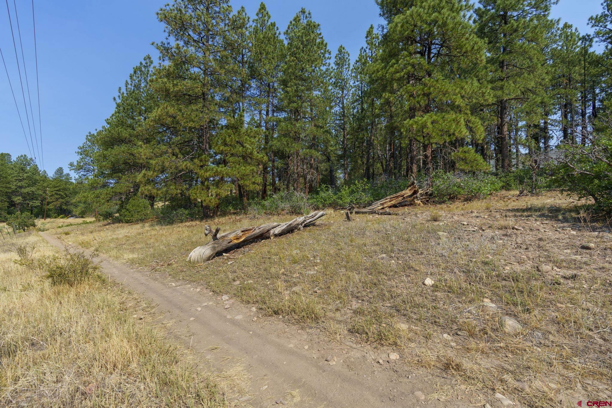 41 Moss Rd Trail Durango, CO 81303 - Photo 38 of 38