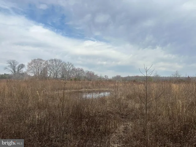 $750,000 | 0 Cool Spring Road, Marydel, MD 21649