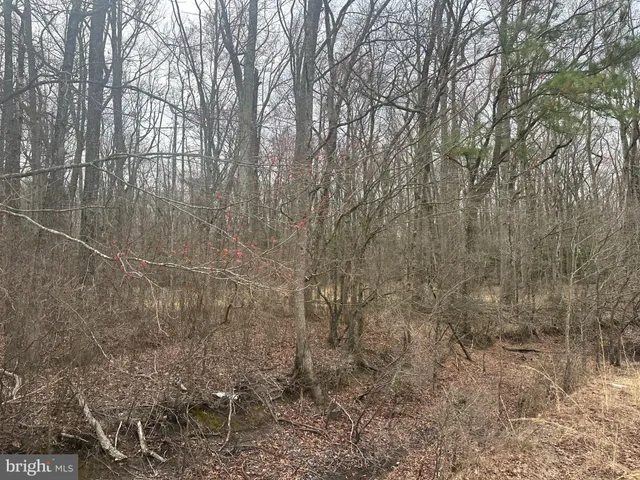 $750,000 | 0 Cool Spring Road, Marydel, MD 21649