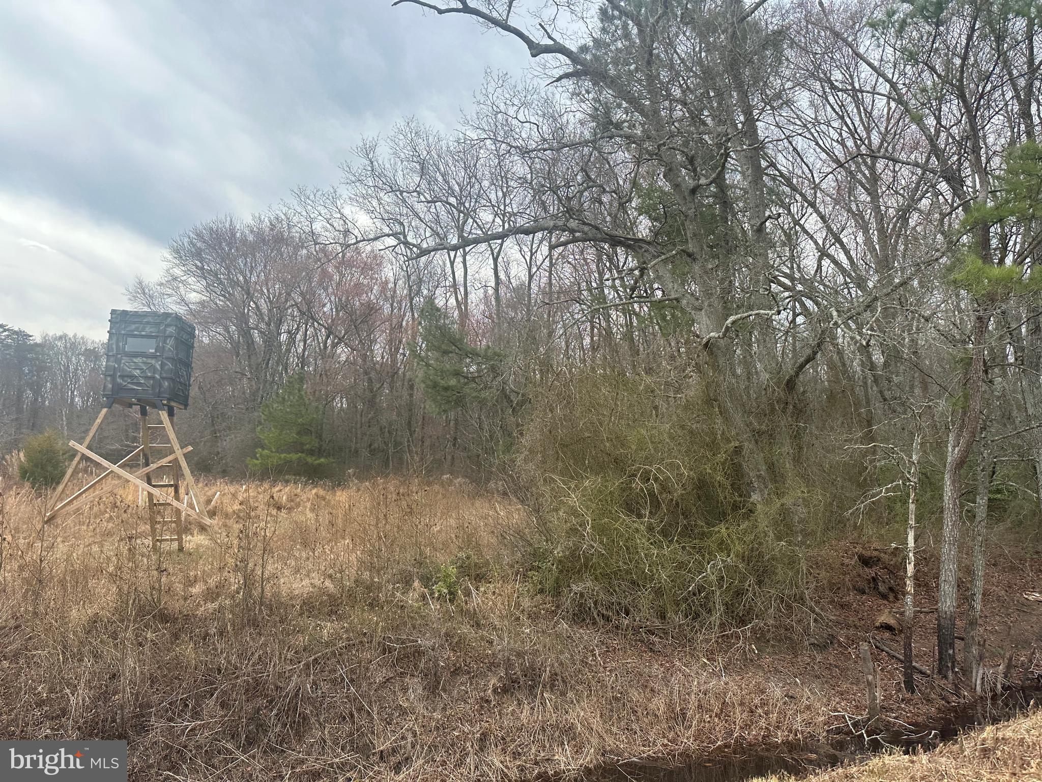 0 Cool Spring Road Marydel, MD 21649 - Photo 21 of 49