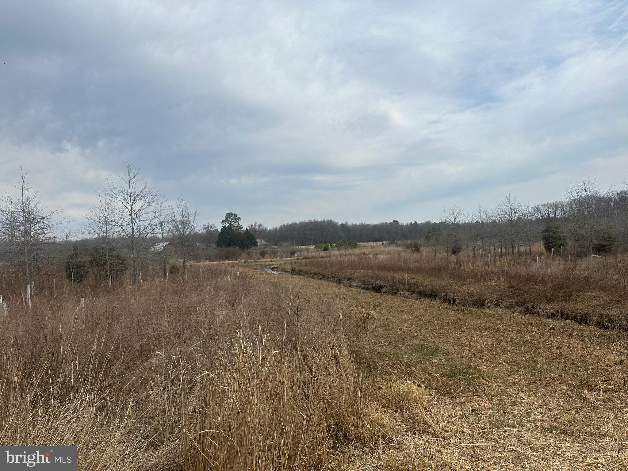 0 Cool Spring Road Marydel, MD 21649 - Photo 22 of 49