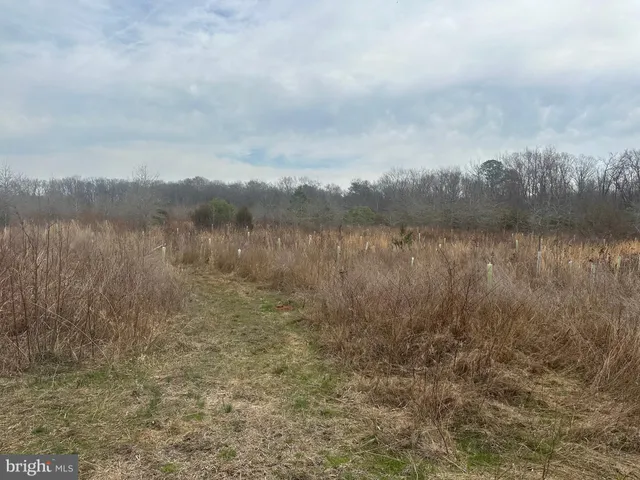 $750,000 | 0 Cool Spring Road, Marydel, MD 21649