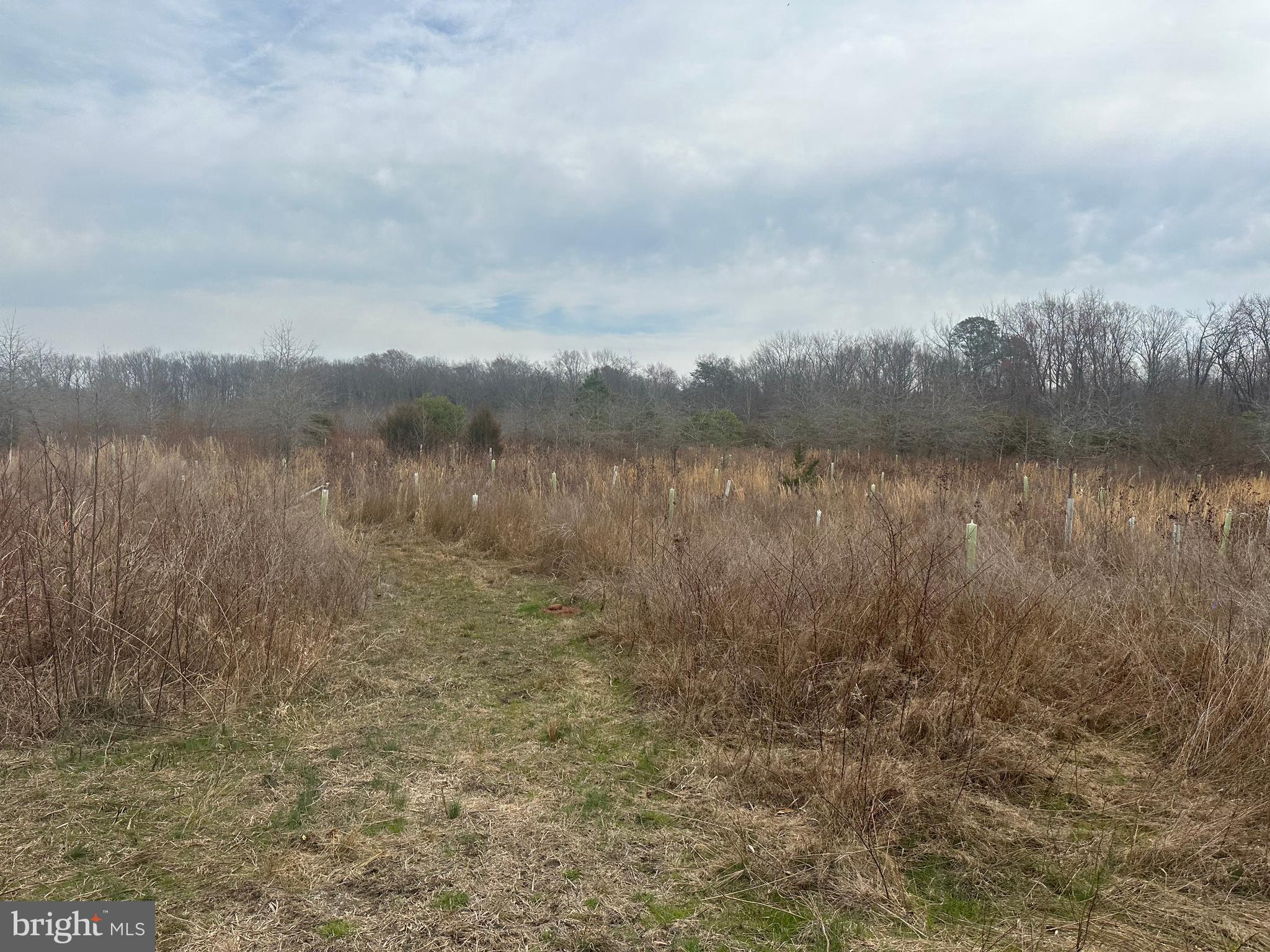 0 Cool Spring Road Marydel, MD 21649 - Photo 23 of 49