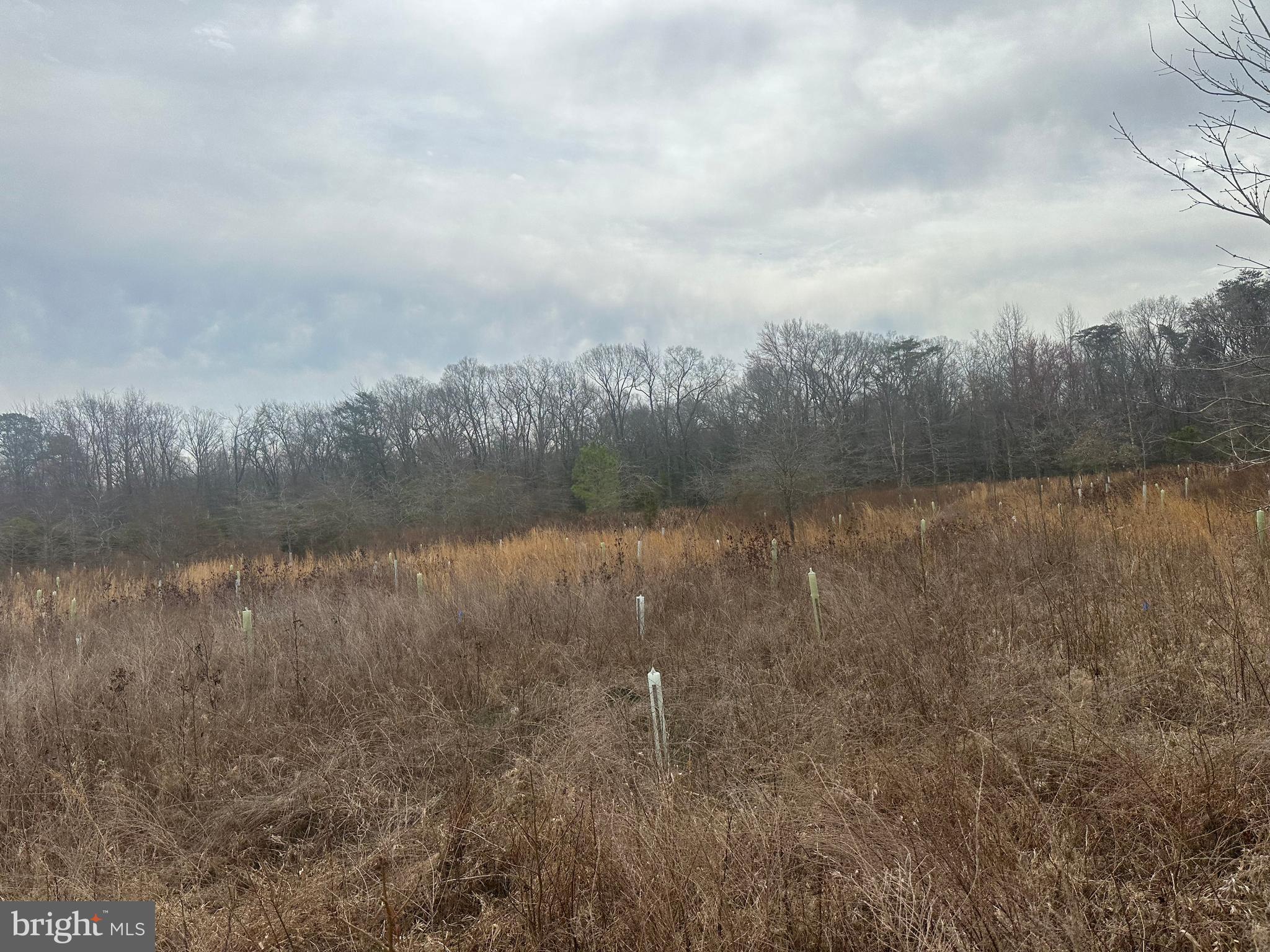 0 Cool Spring Road Marydel, MD 21649 - Photo 24 of 49