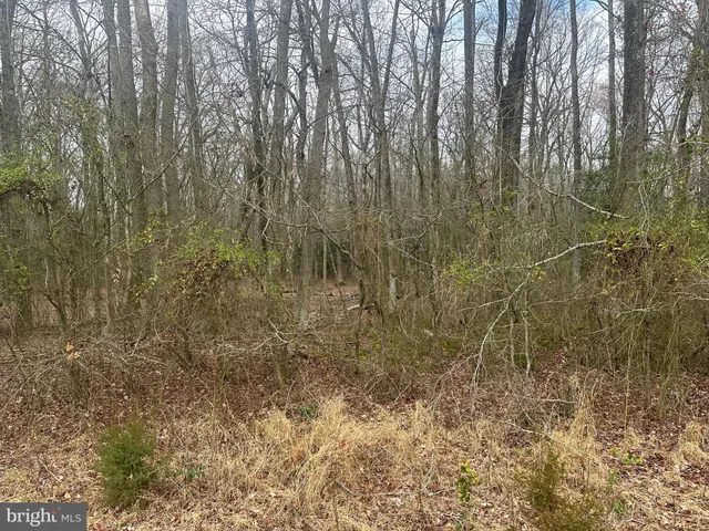 $750,000 | 0 Cool Spring Road, Marydel, MD 21649