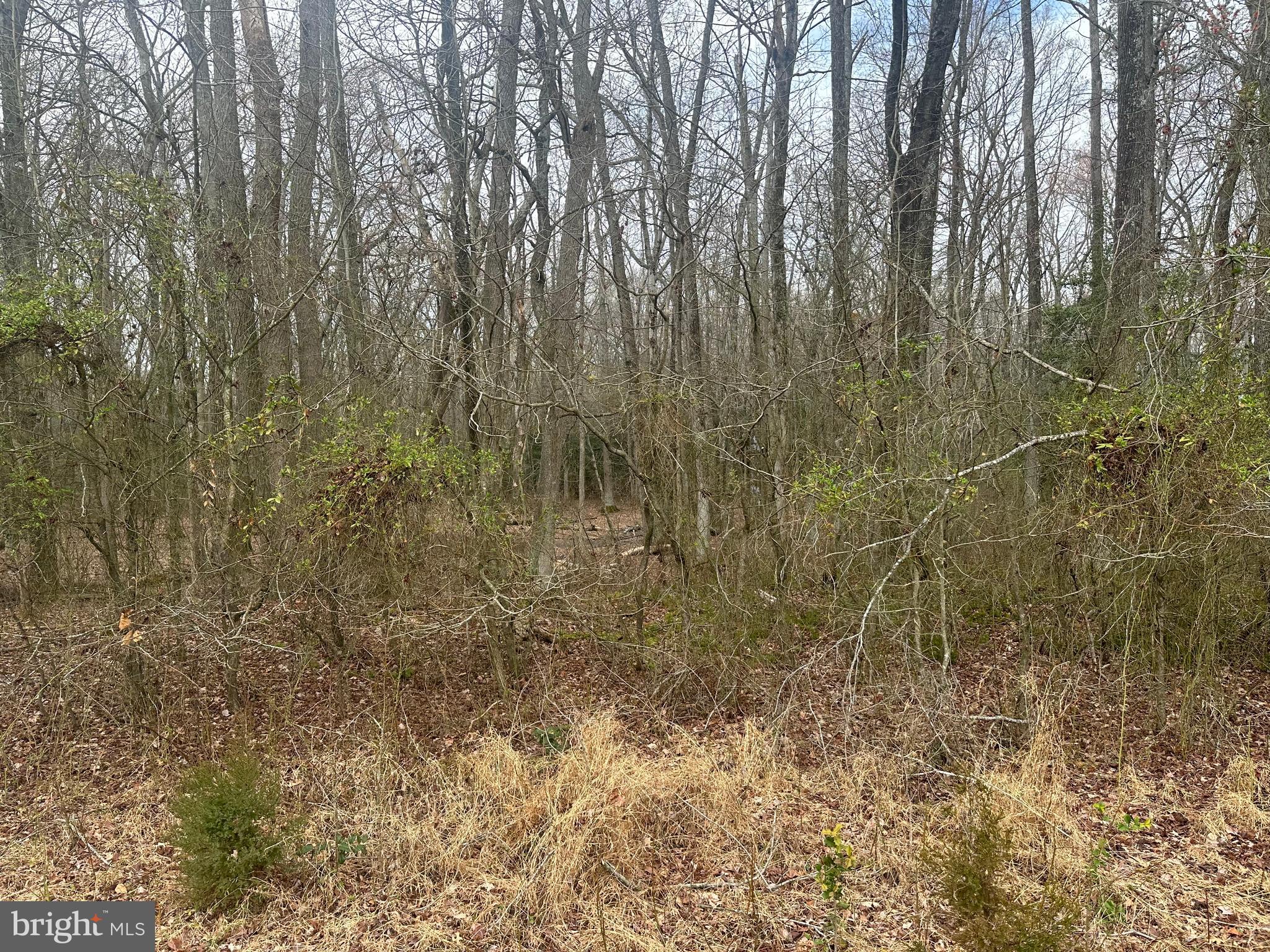 0 Cool Spring Road Marydel, MD 21649 - Photo 25 of 49