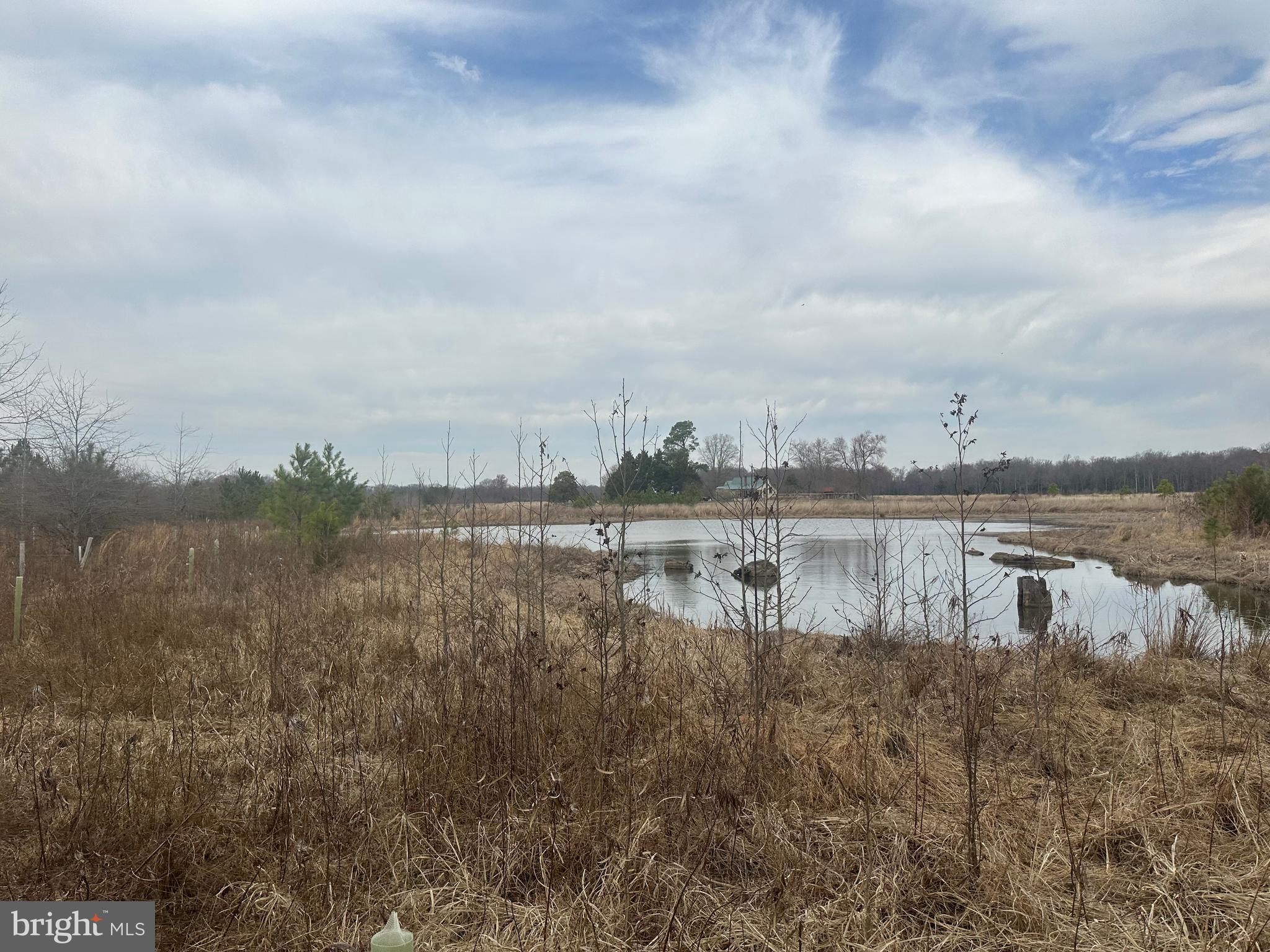 0 Cool Spring Road Marydel, MD 21649 - Photo 27 of 49