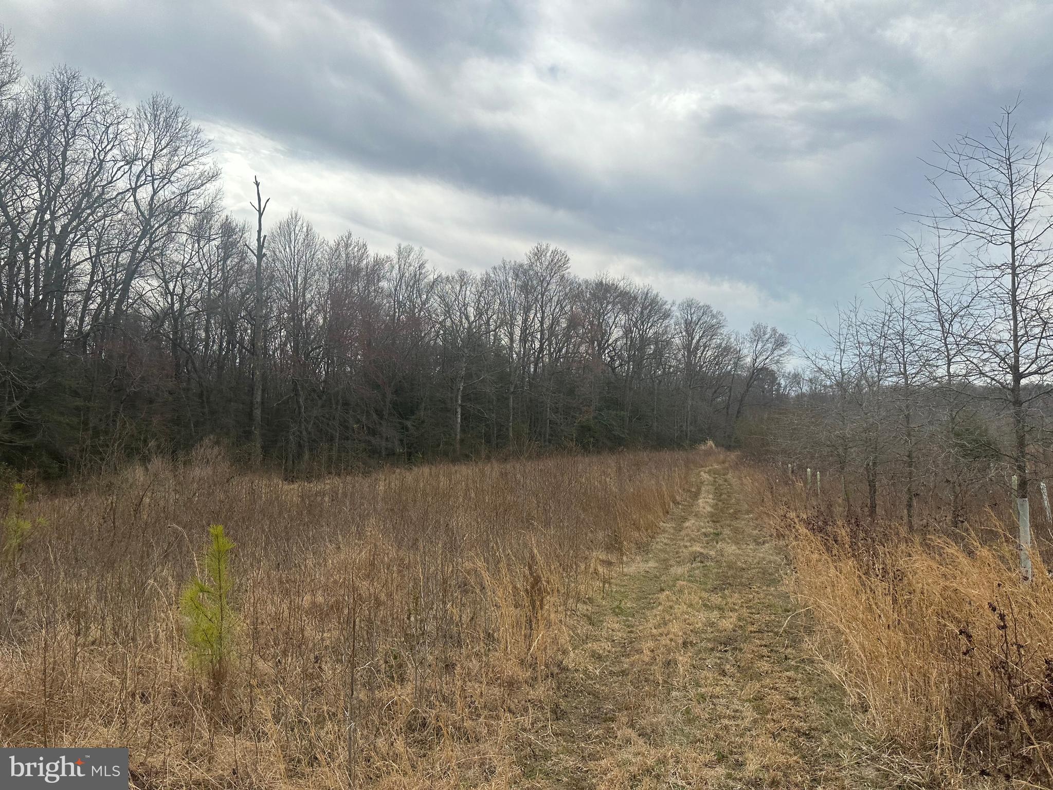 0 Cool Spring Road Marydel, MD 21649 - Photo 28 of 49