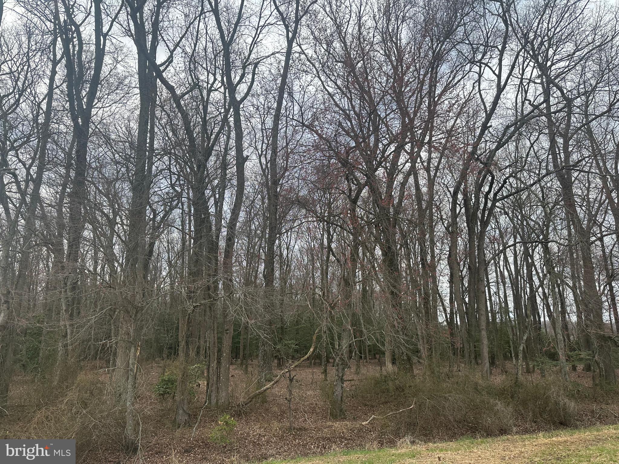 0 Cool Spring Road Marydel, MD 21649 - Photo 31 of 49