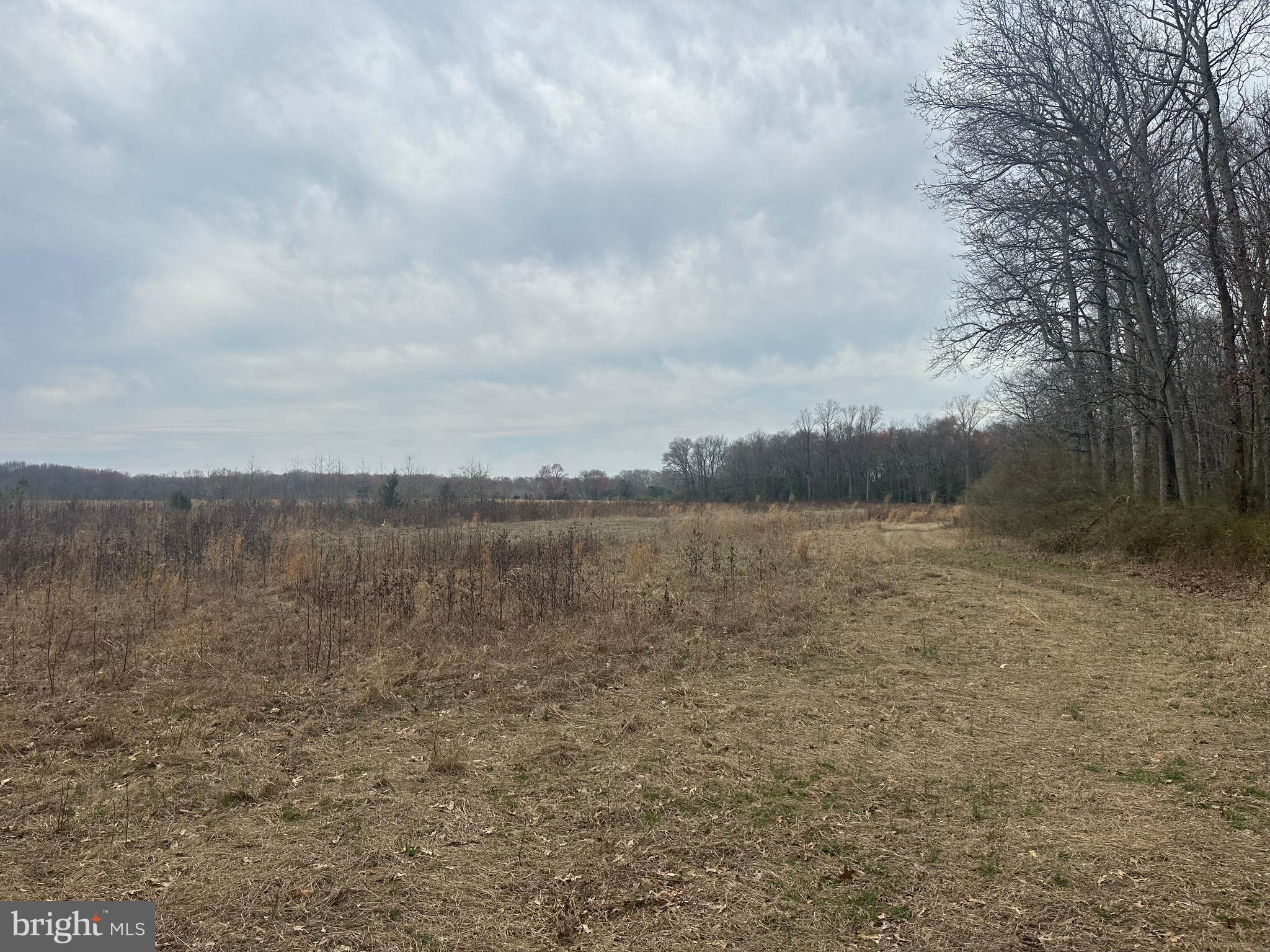 0 Cool Spring Road Marydel, MD 21649 - Photo 32 of 49