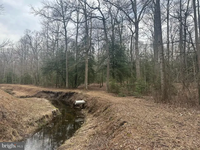 $750,000 | 0 Cool Spring Road, Marydel, MD 21649