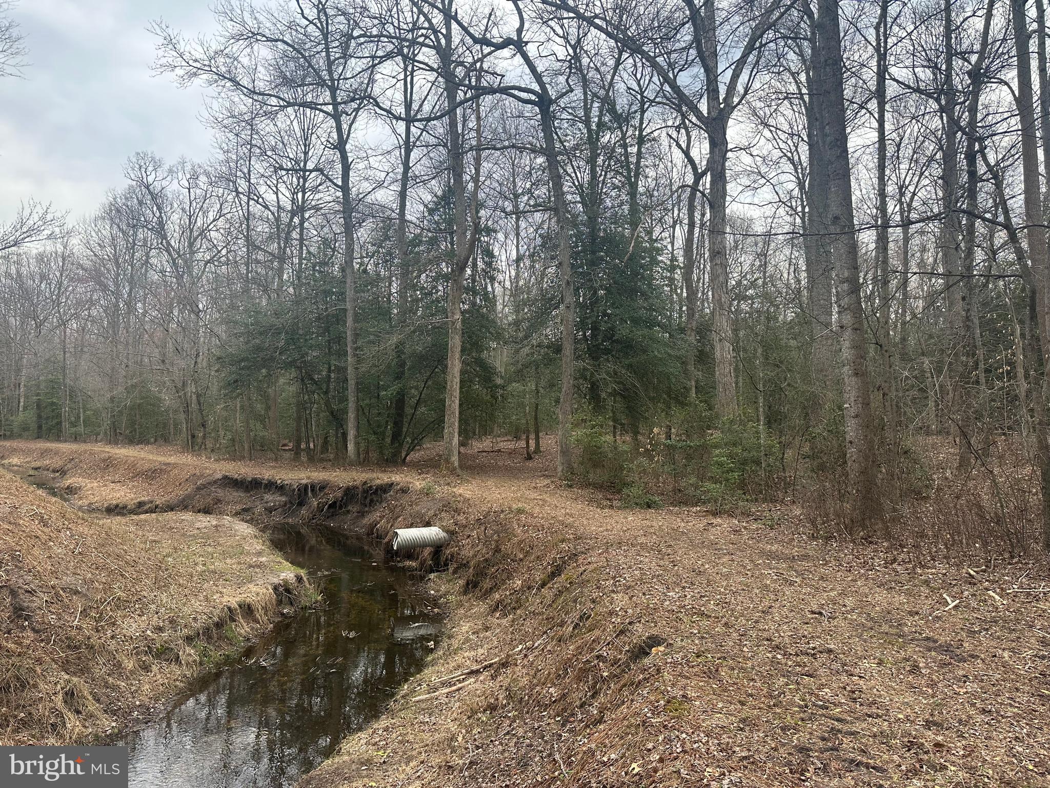 0 Cool Spring Road Marydel, MD 21649 - Photo 33 of 49