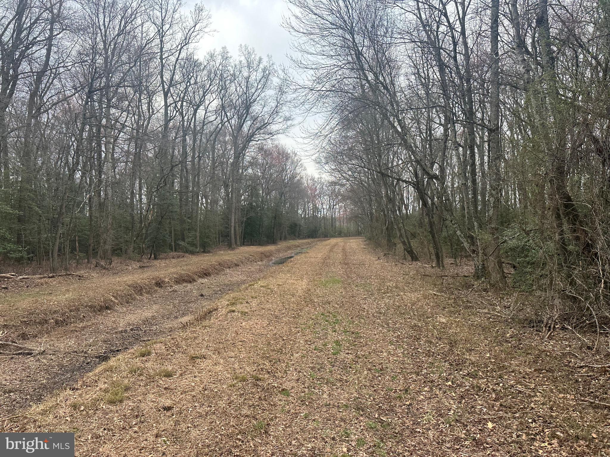 0 Cool Spring Road Marydel, MD 21649 - Photo 34 of 49