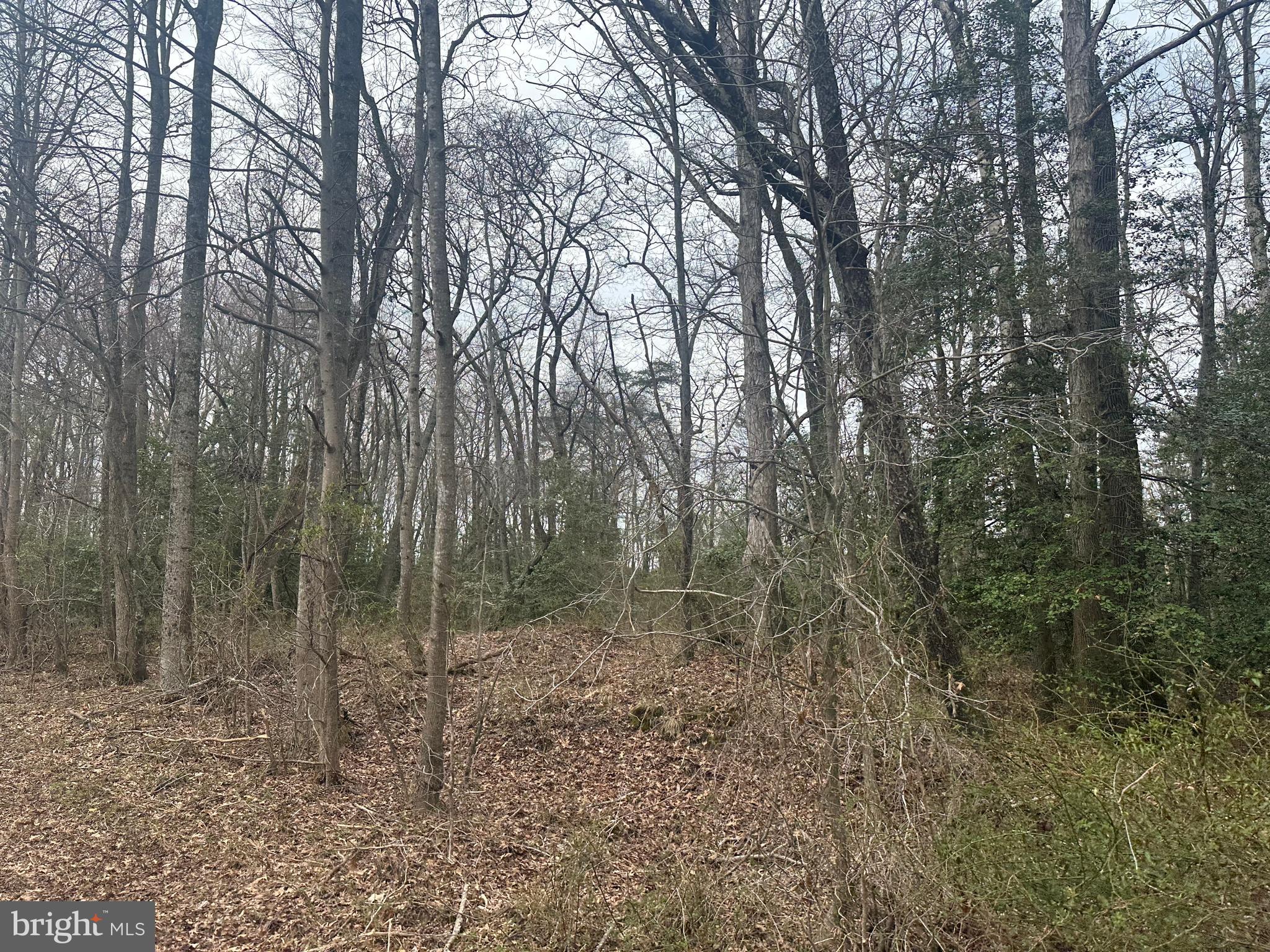 0 Cool Spring Road Marydel, MD 21649 - Photo 35 of 49