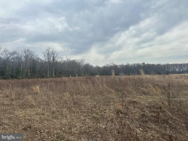 $750,000 | 0 Cool Spring Road, Marydel, MD 21649