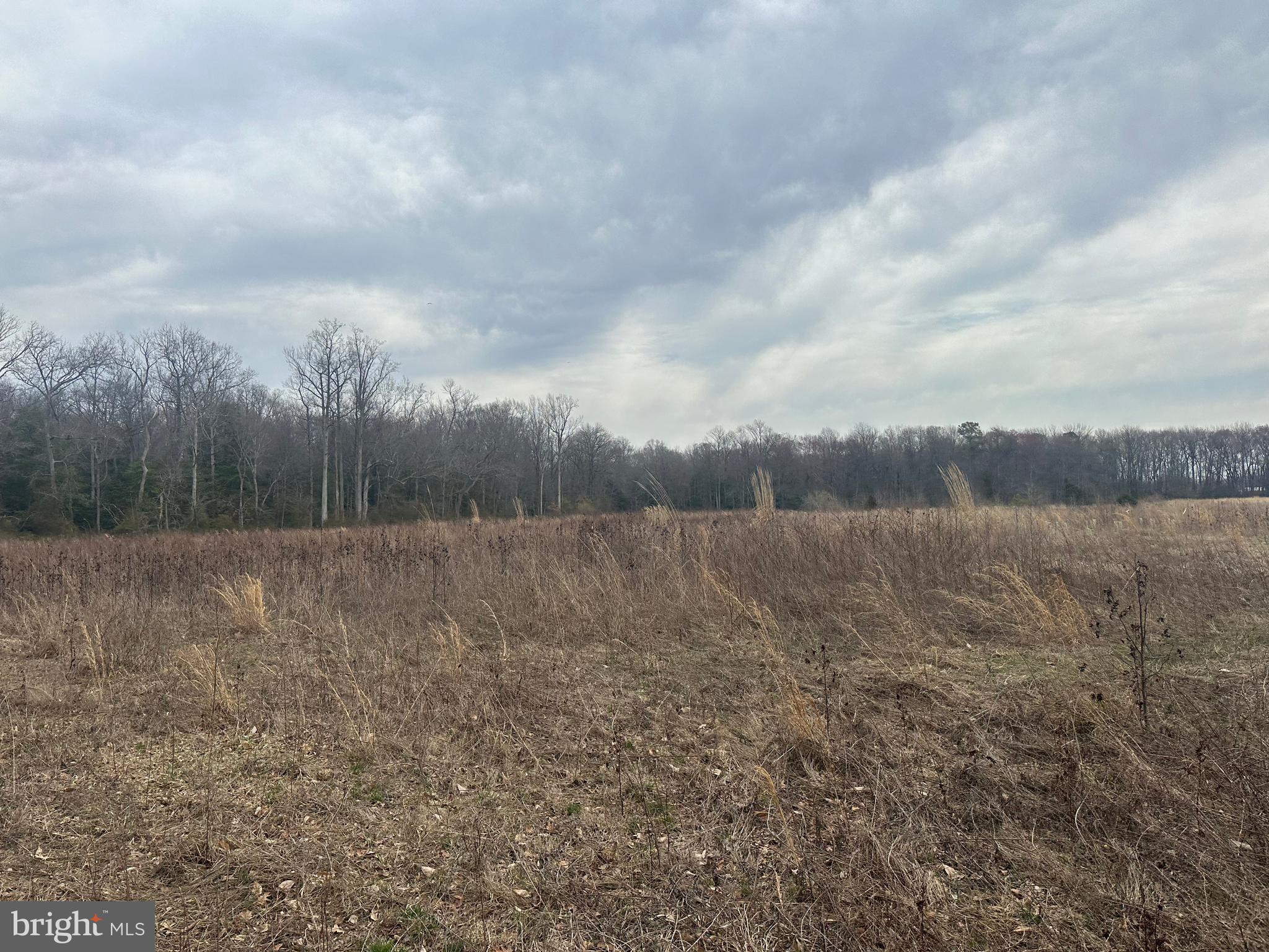 0 Cool Spring Road Marydel, MD 21649 - Photo 37 of 49