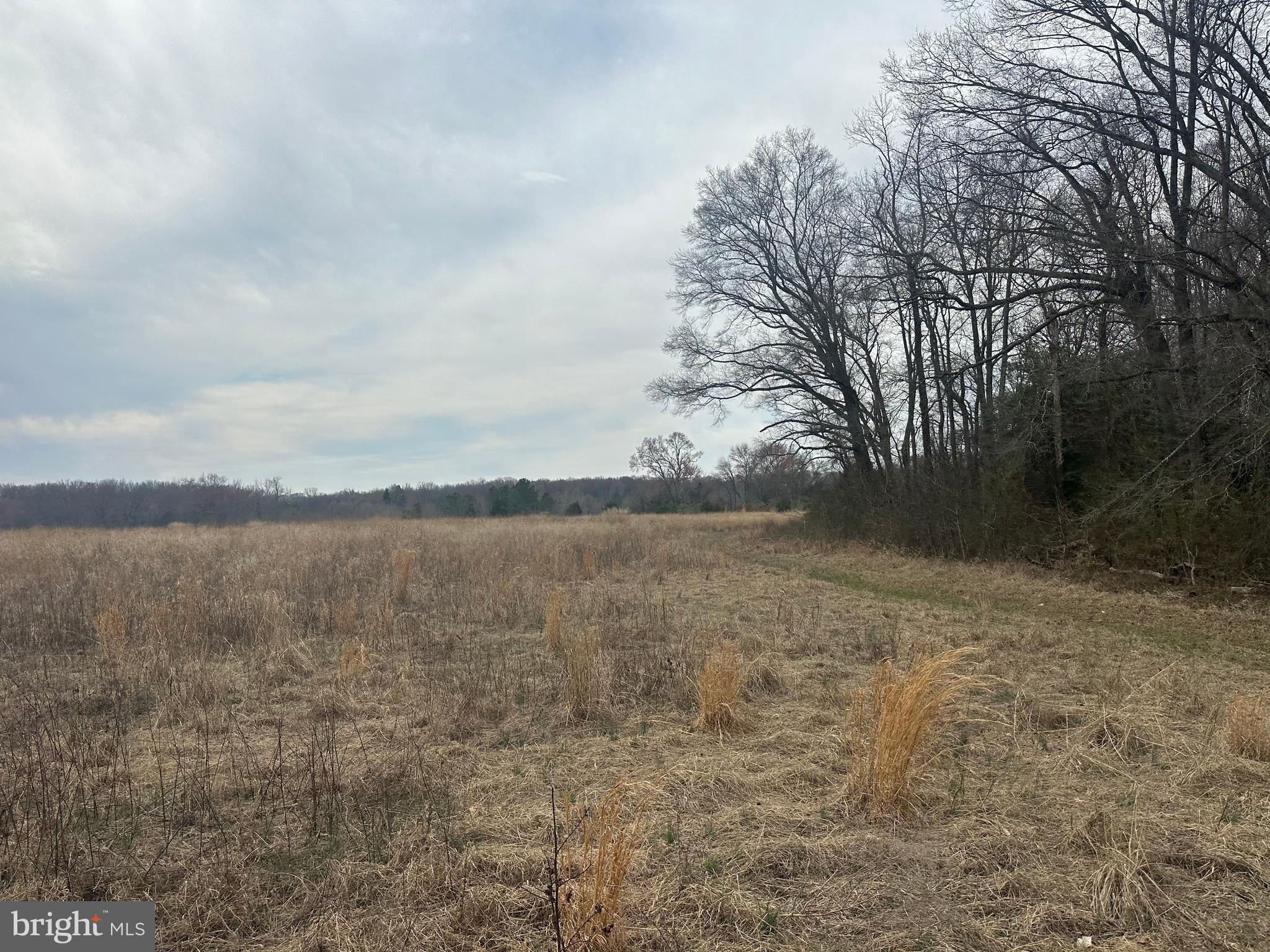 0 Cool Spring Road Marydel, MD 21649 - Photo 38 of 49