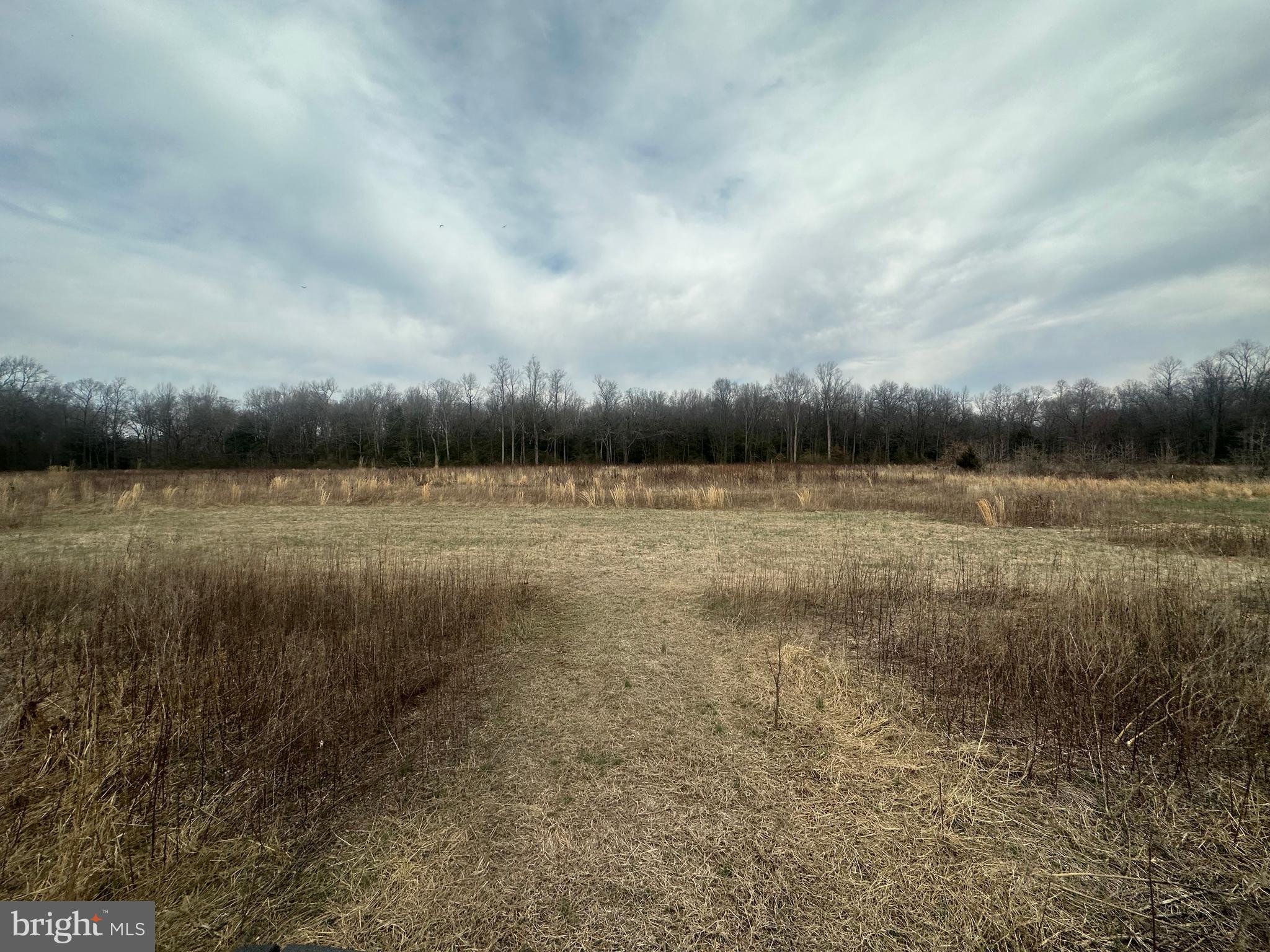 0 Cool Spring Road Marydel, MD 21649 - Photo 39 of 49