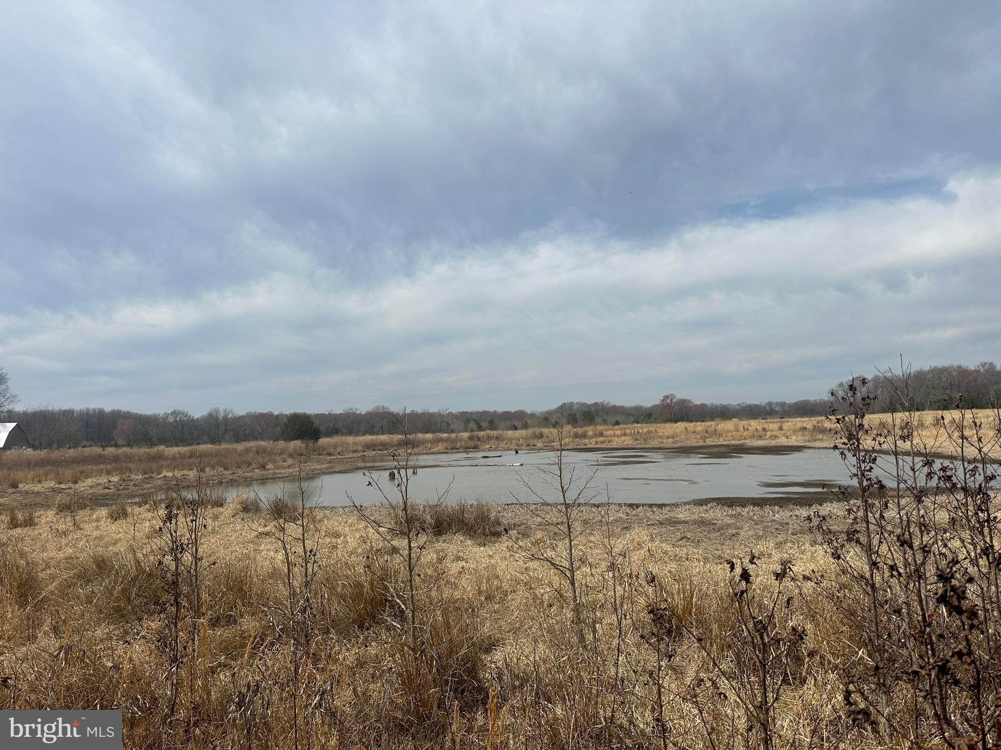 0 Cool Spring Road Marydel, MD 21649 - Photo 41 of 49