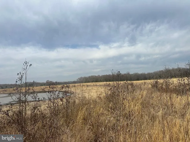 $750,000 | 0 Cool Spring Road, Marydel, MD 21649