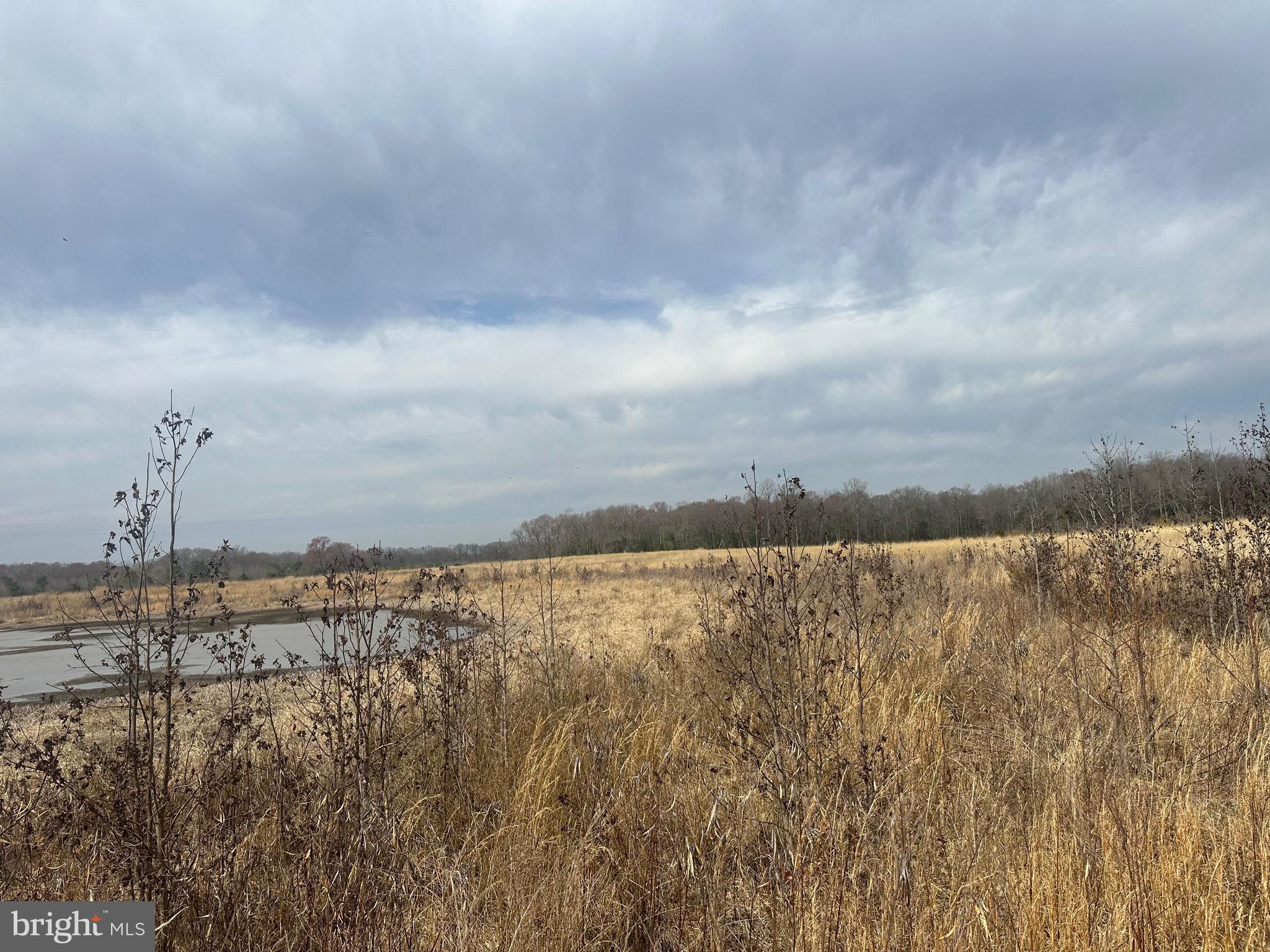 0 Cool Spring Road Marydel, MD 21649 - Photo 42 of 49